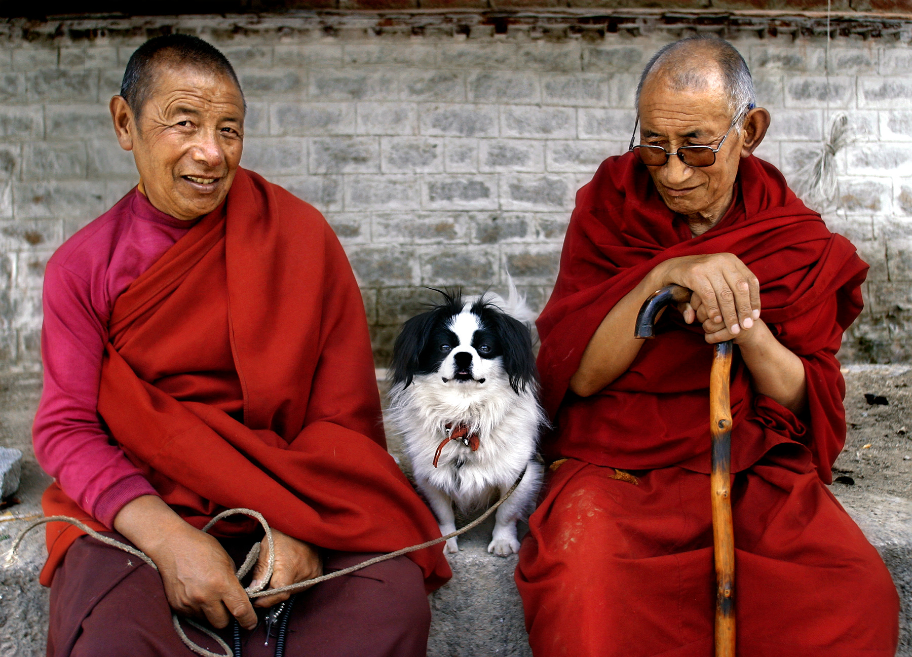 derly monks and their dog, Sera Monastery, Lhasa, Tibet