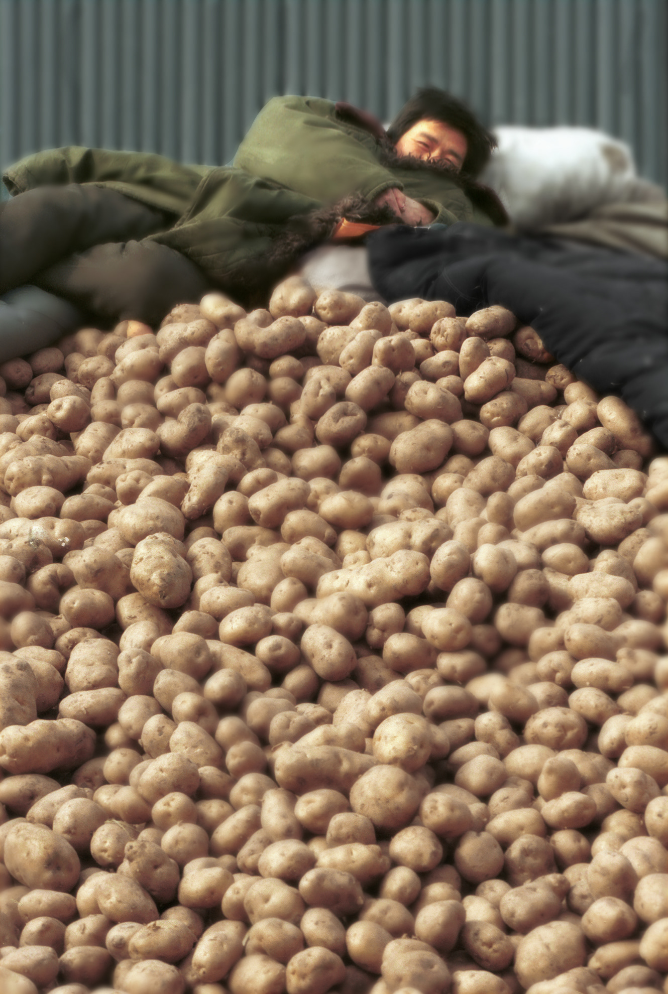 Selling Potatoes, Dazhongsi wholesale market, Beijing, China