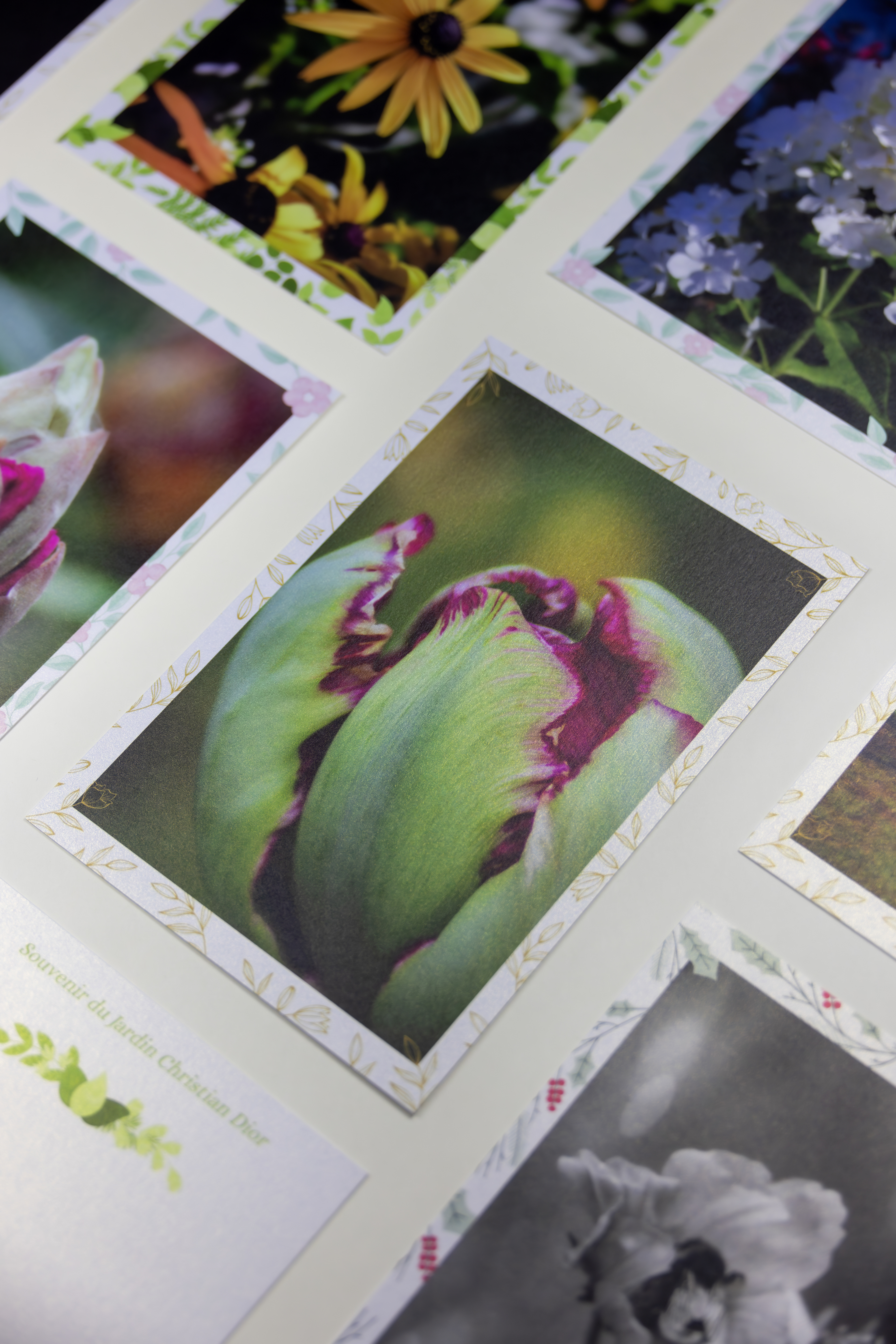 Souvenir du Jardin Christian Dior — Photographie et produits © Marie Conte