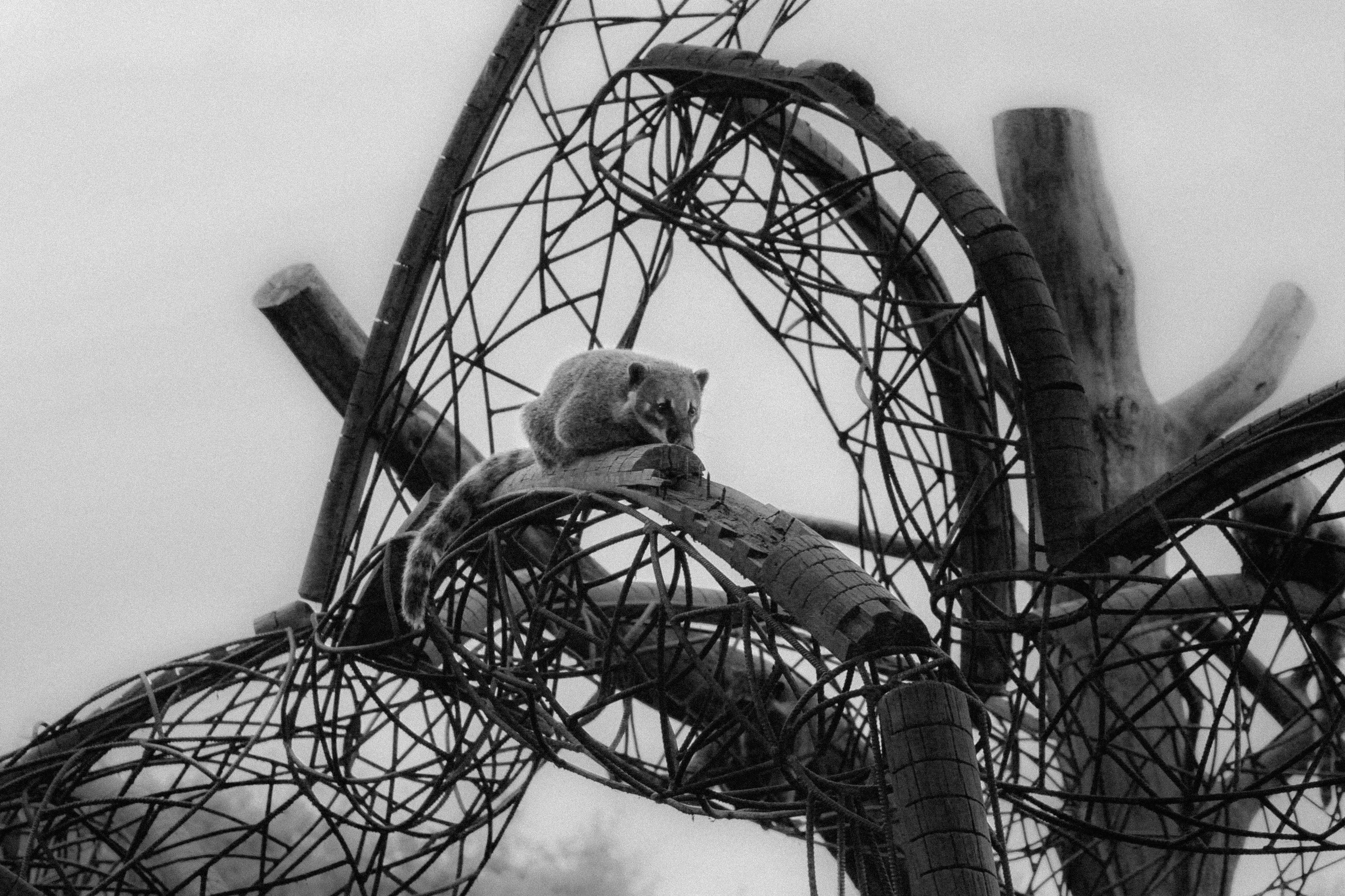 Zoo de Champrépus — © Marie Conte