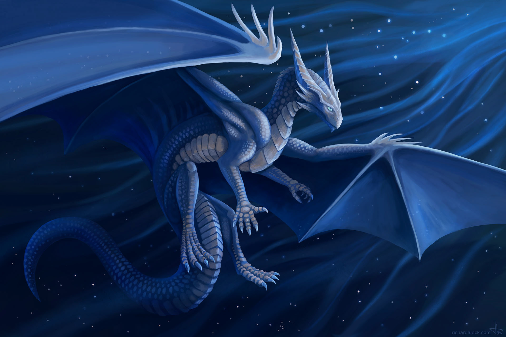 Dragon Night Flight