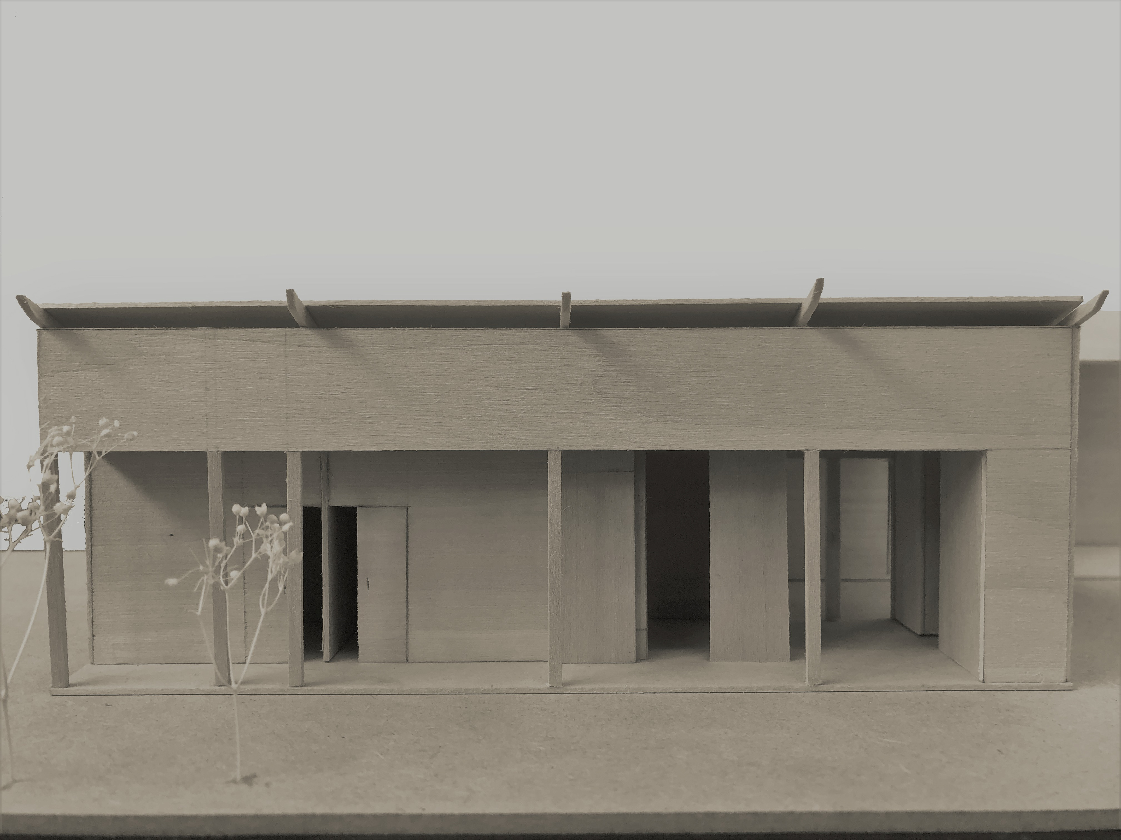 West View of the Model