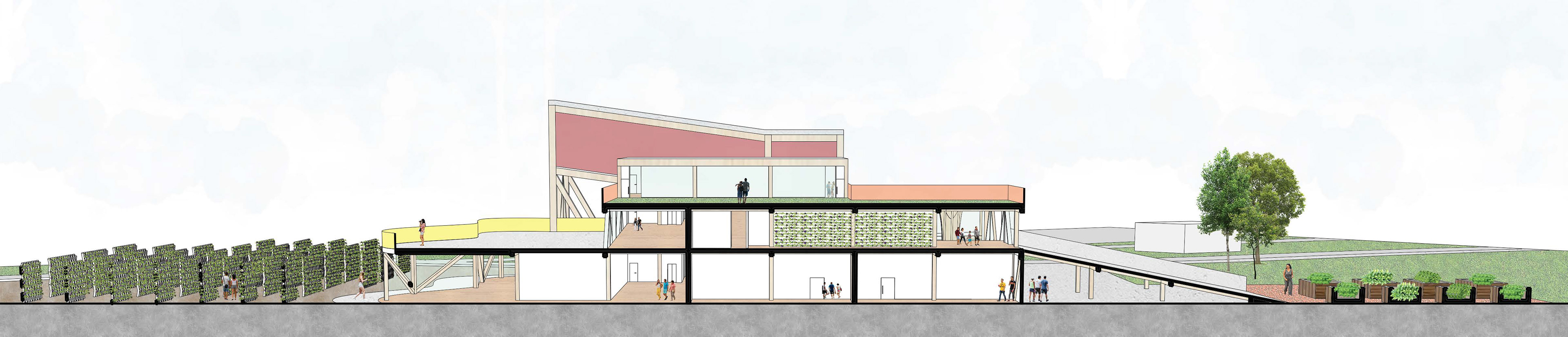 Section Perspective