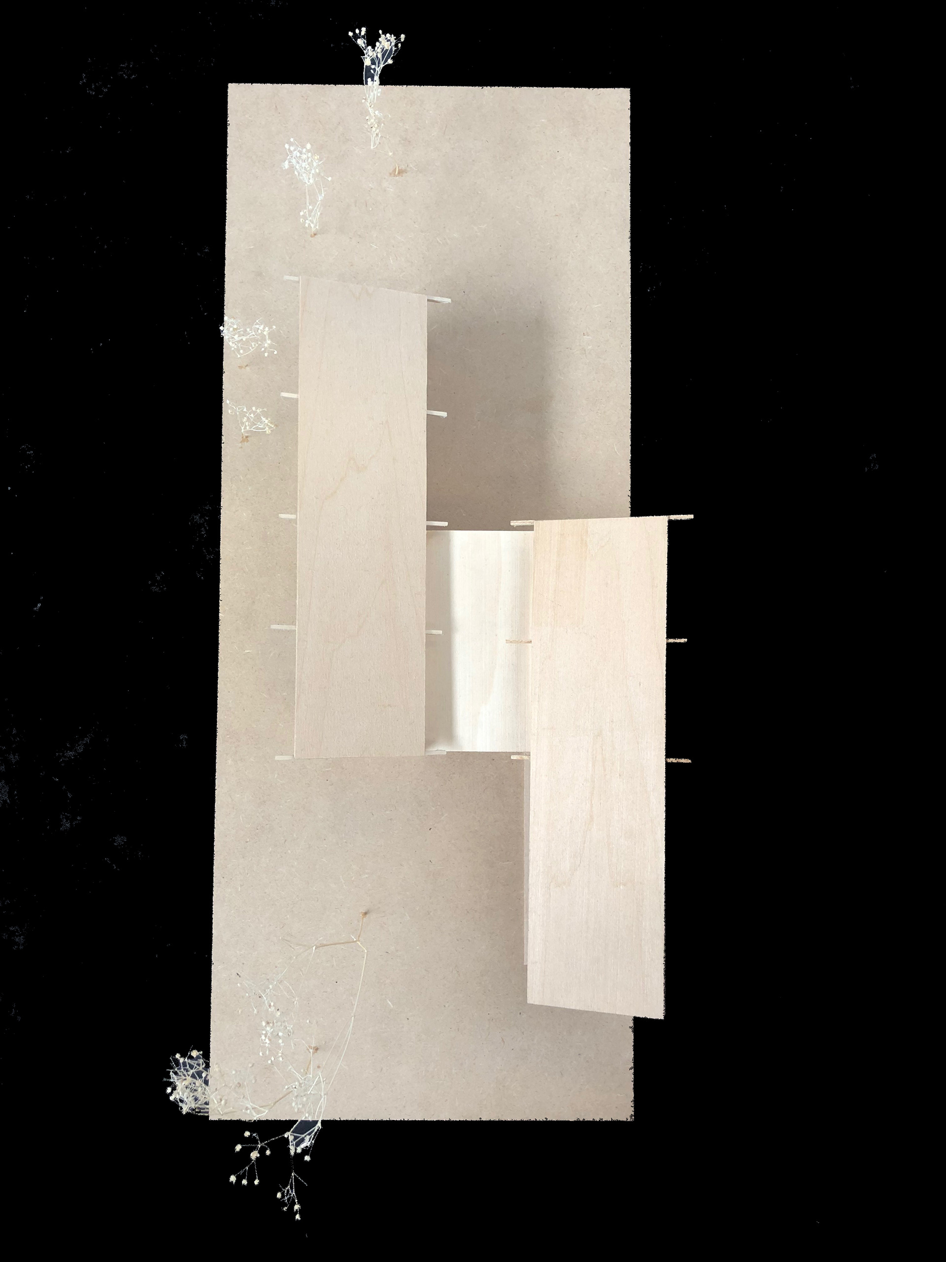 Top View of the Model