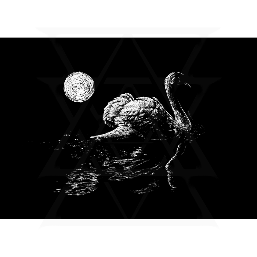 Vanity | Nullity