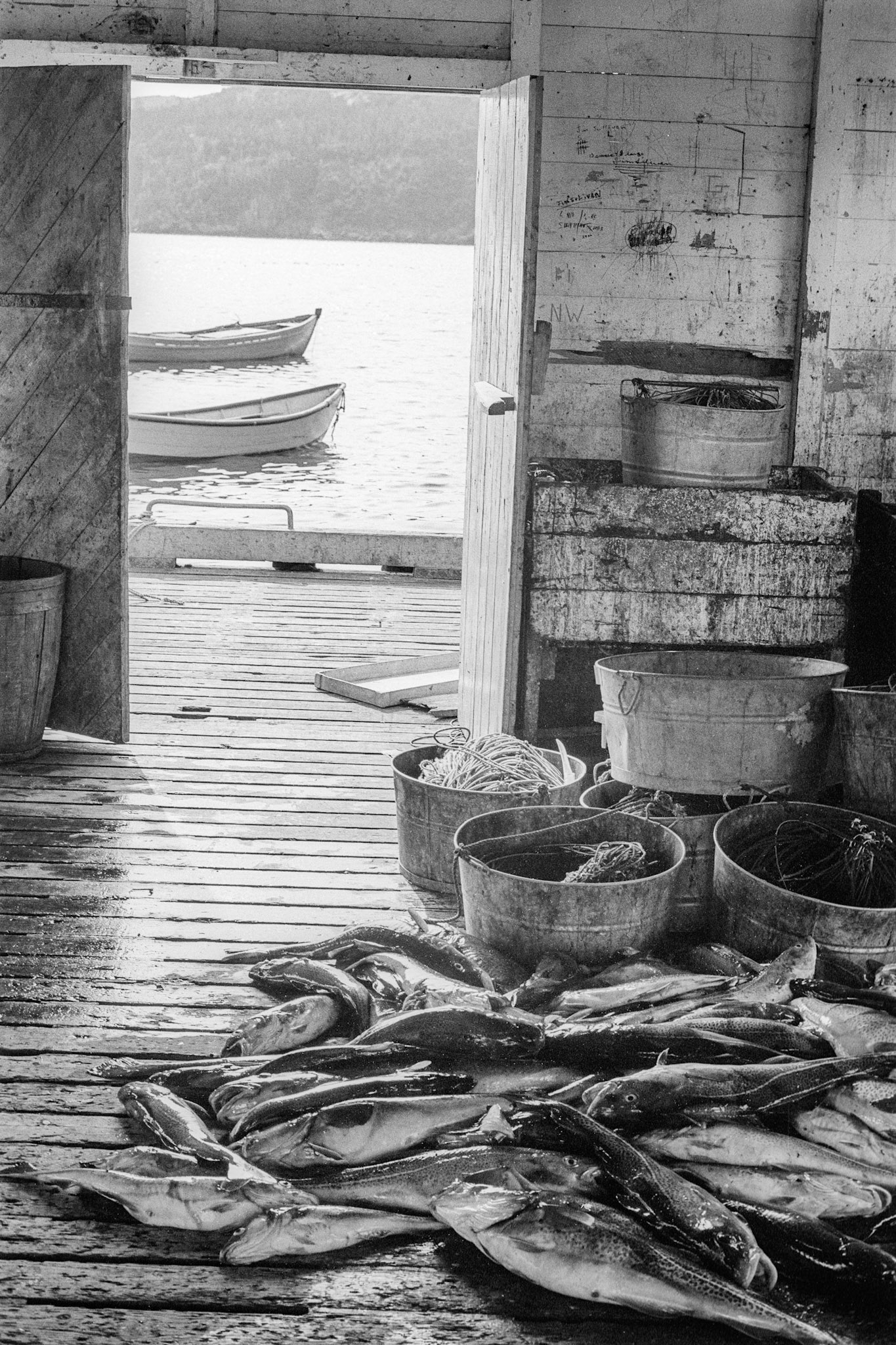 View from inside the government wharf building, Port Kirwan, October 1976