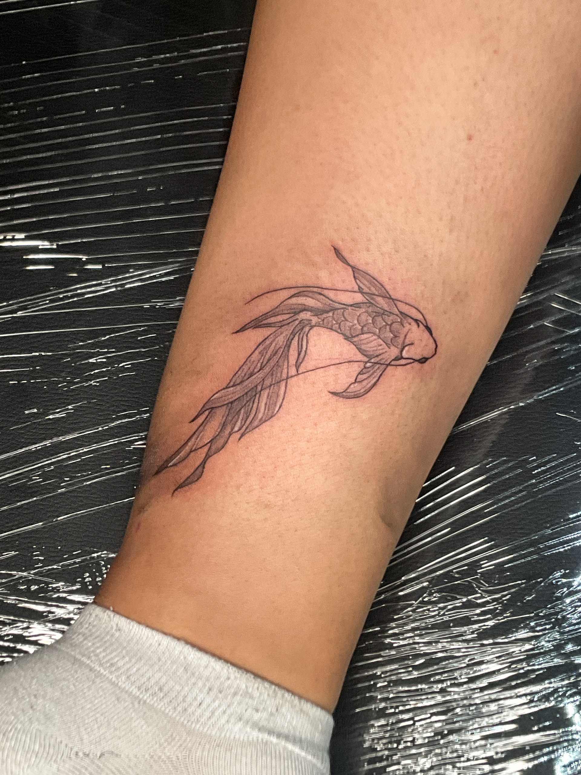 Fishes