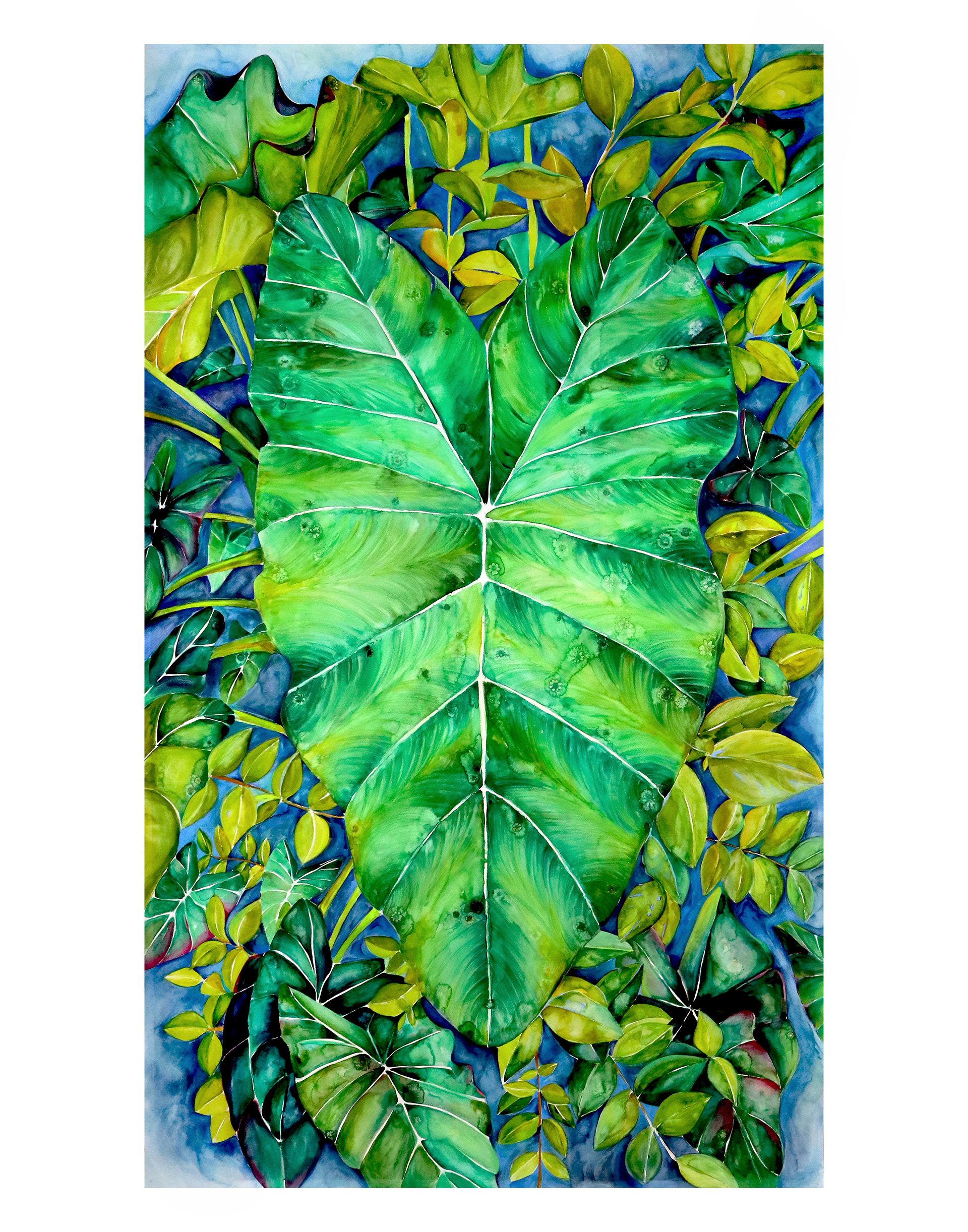 11" by 14" giclee print $45