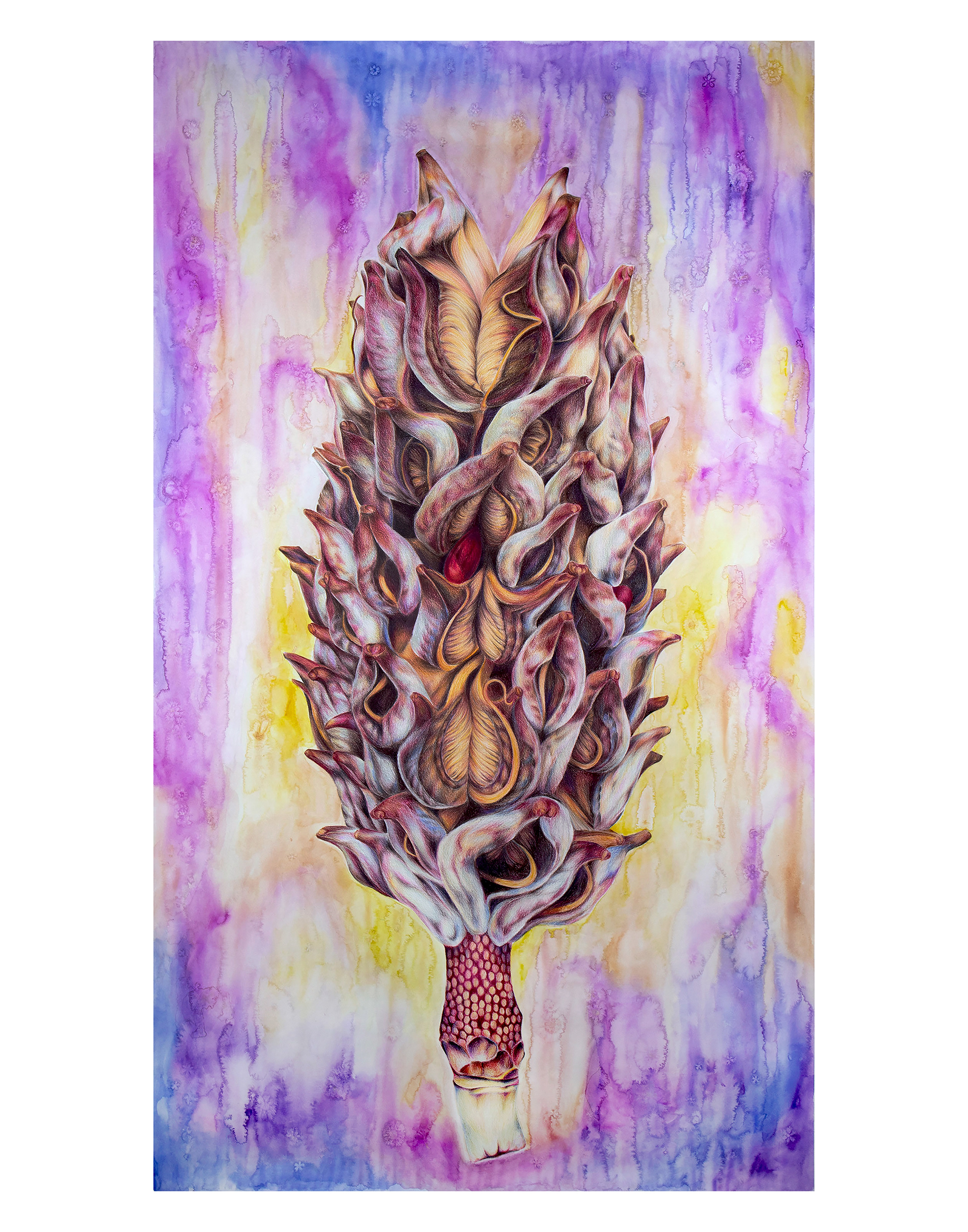 11" by 14" giclee print $45 