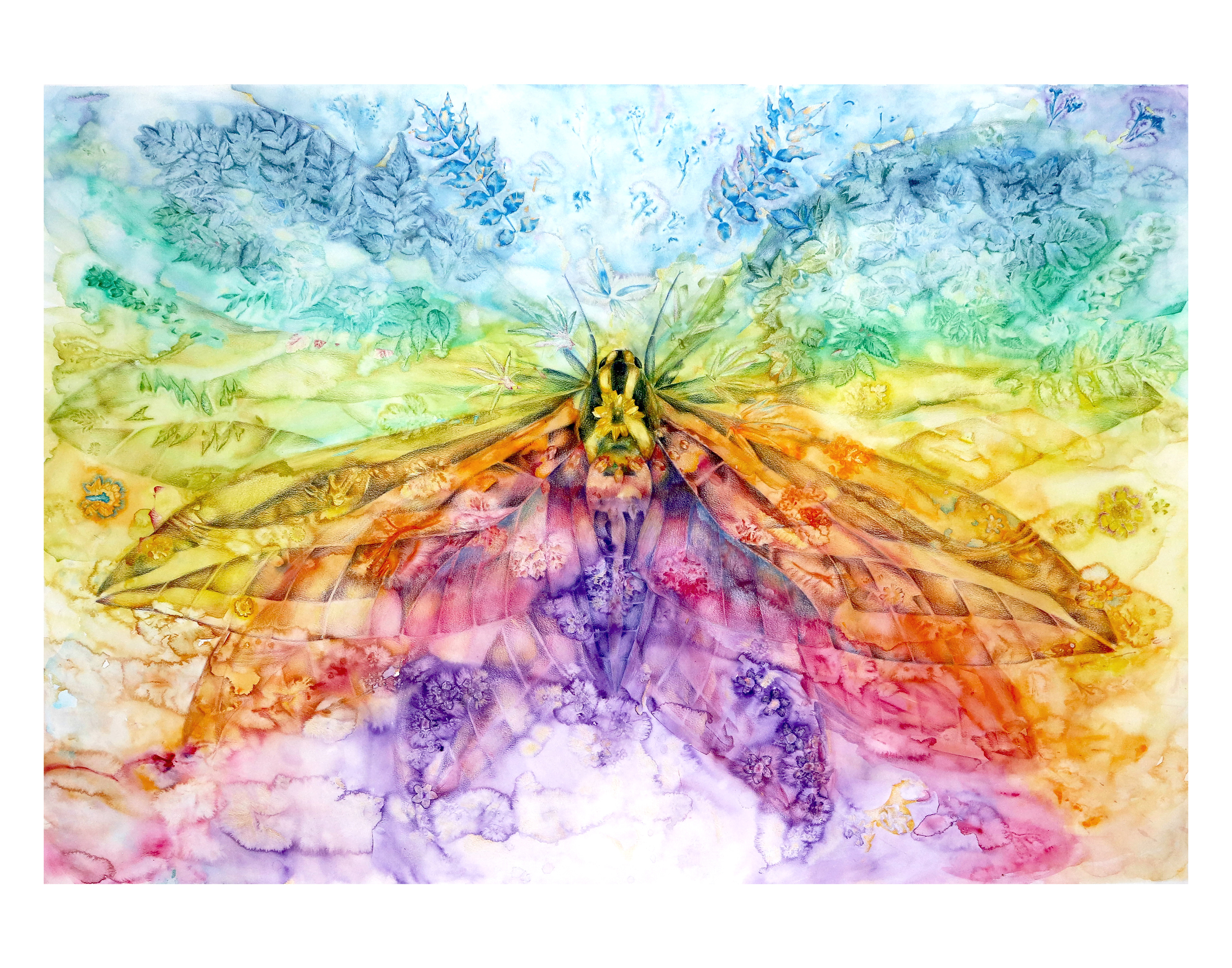 14" by 11" giclee print $45