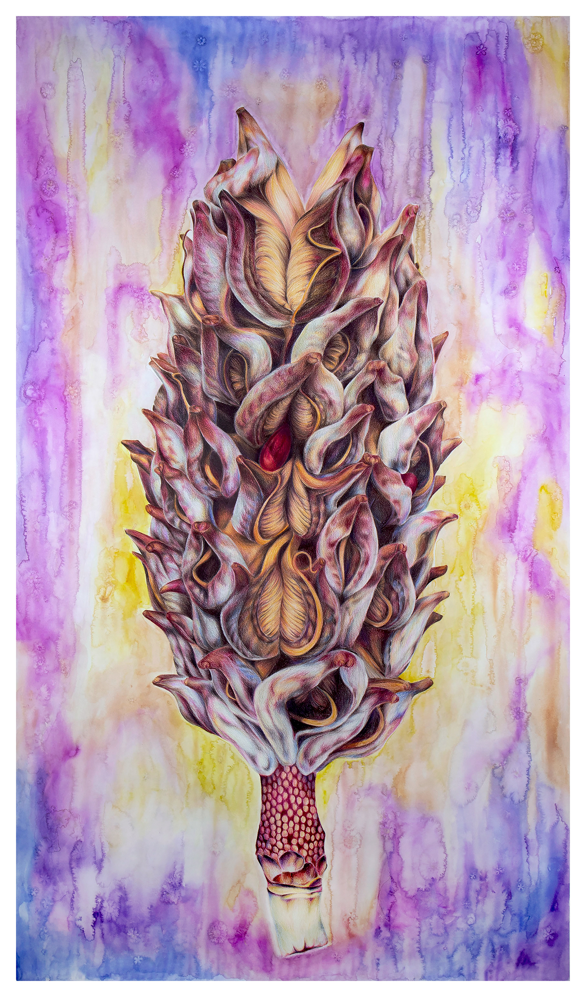 Utero, watercolor and prismacolor on paper, 72" by 40", 2020