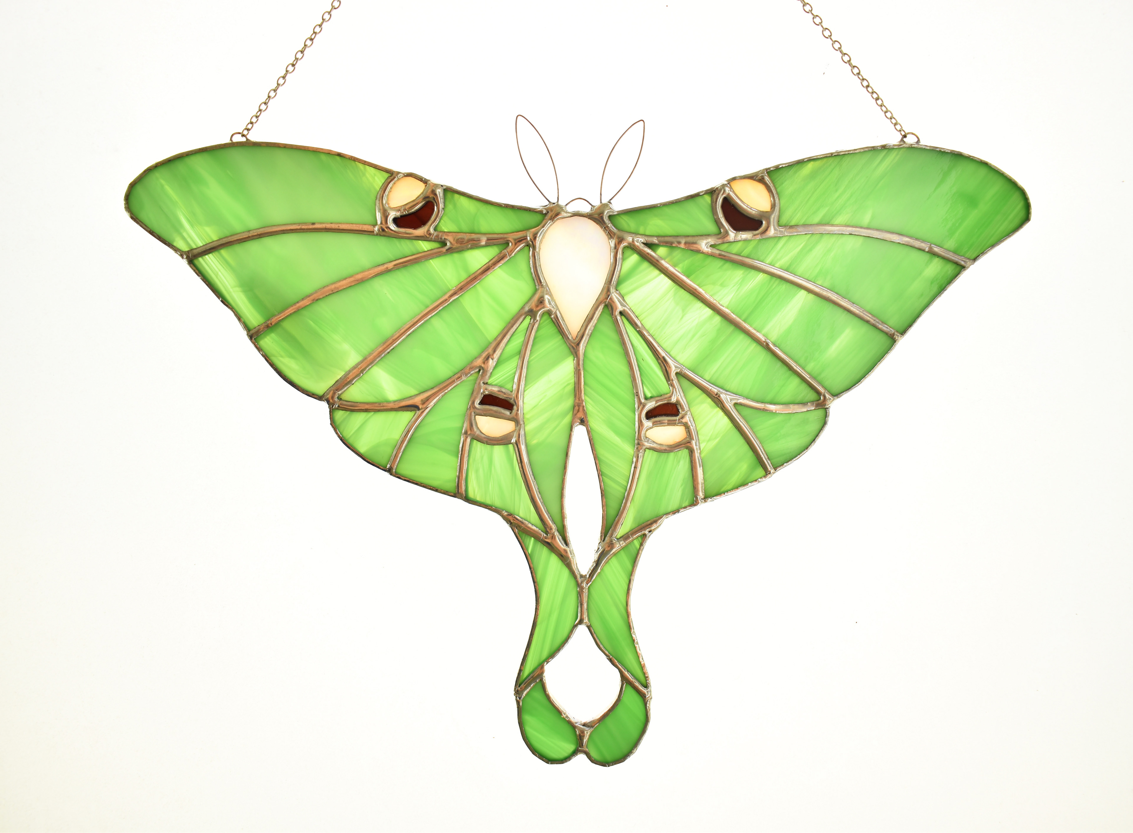Luna Moth