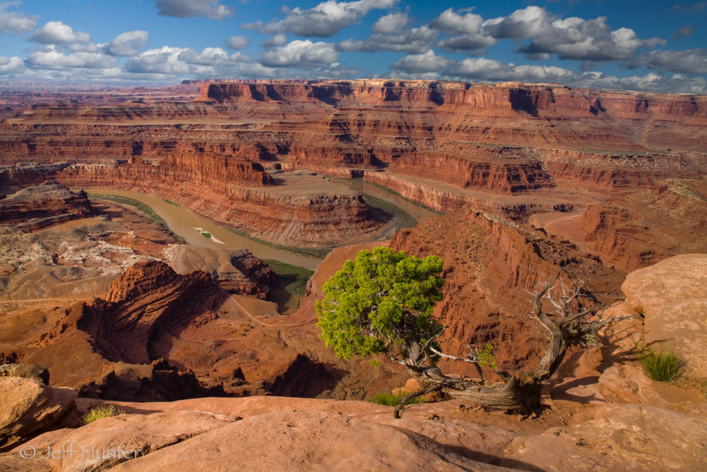 A river bend through a rugged rocky landscape with tree