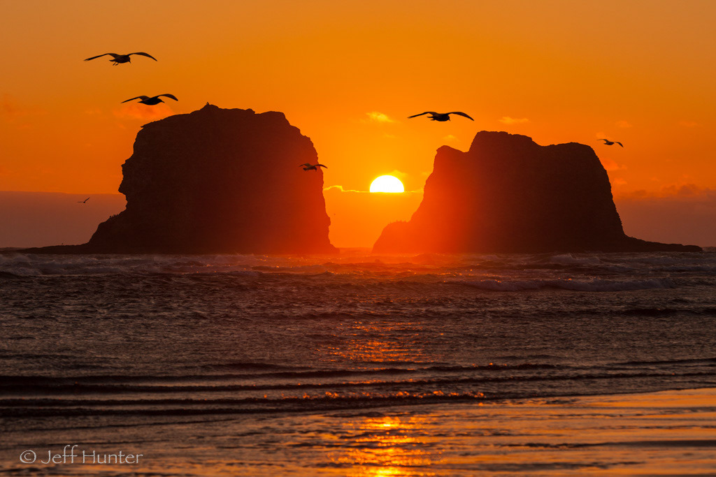 "Haystack" rock formations in the ocean with birds at sunset
