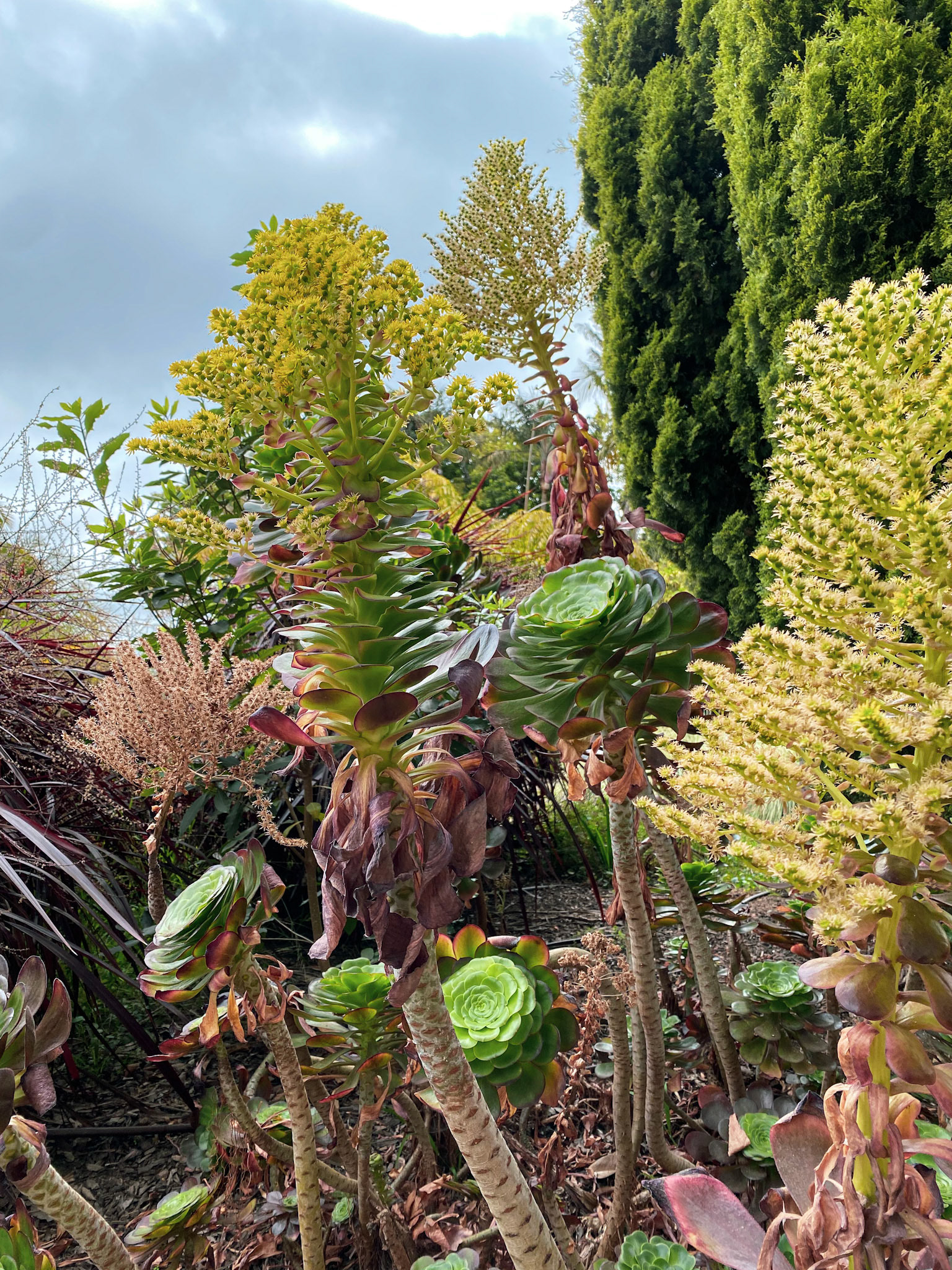 Cradle to Cradle | Natural Harmony