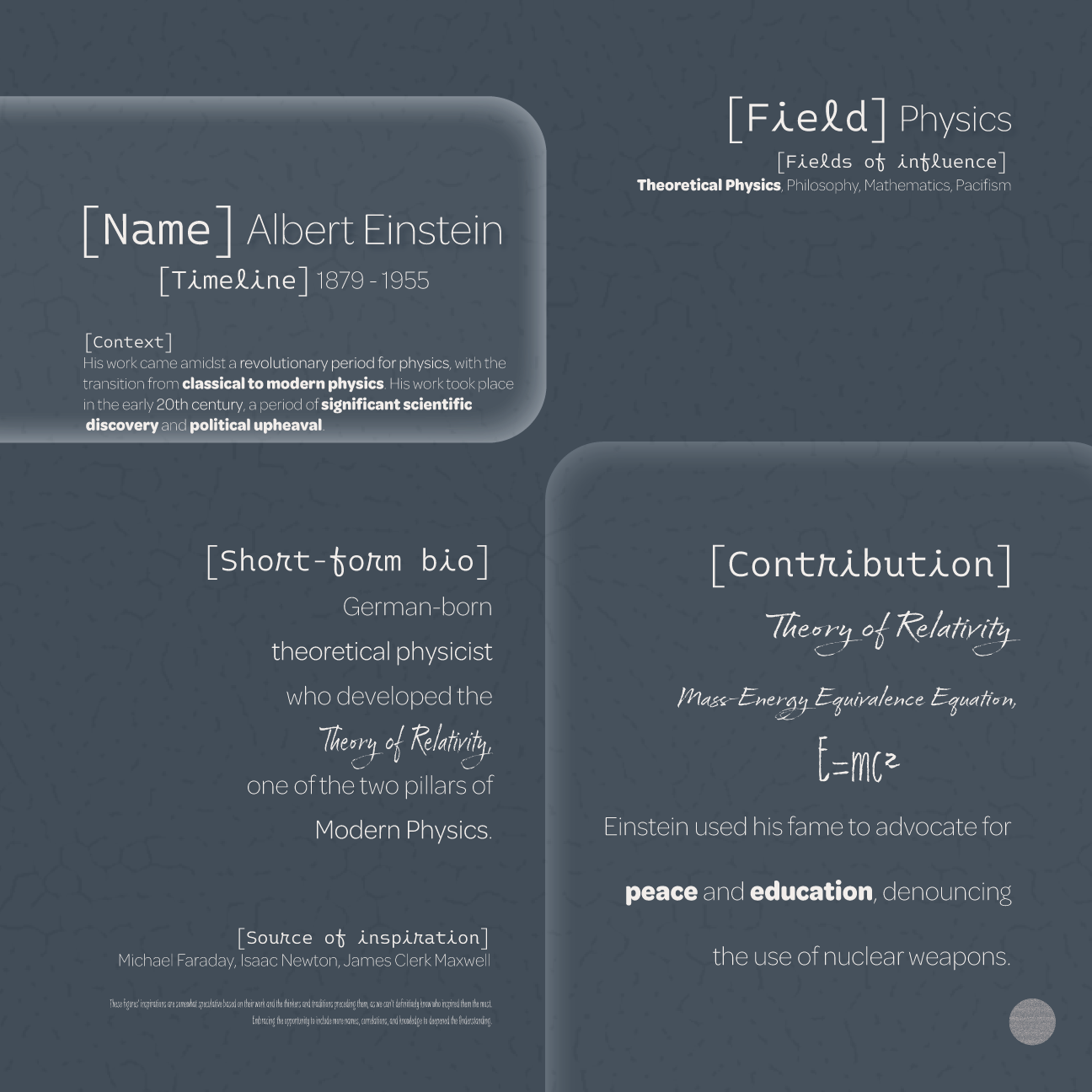 Dudsies | Albert Einstein | Data