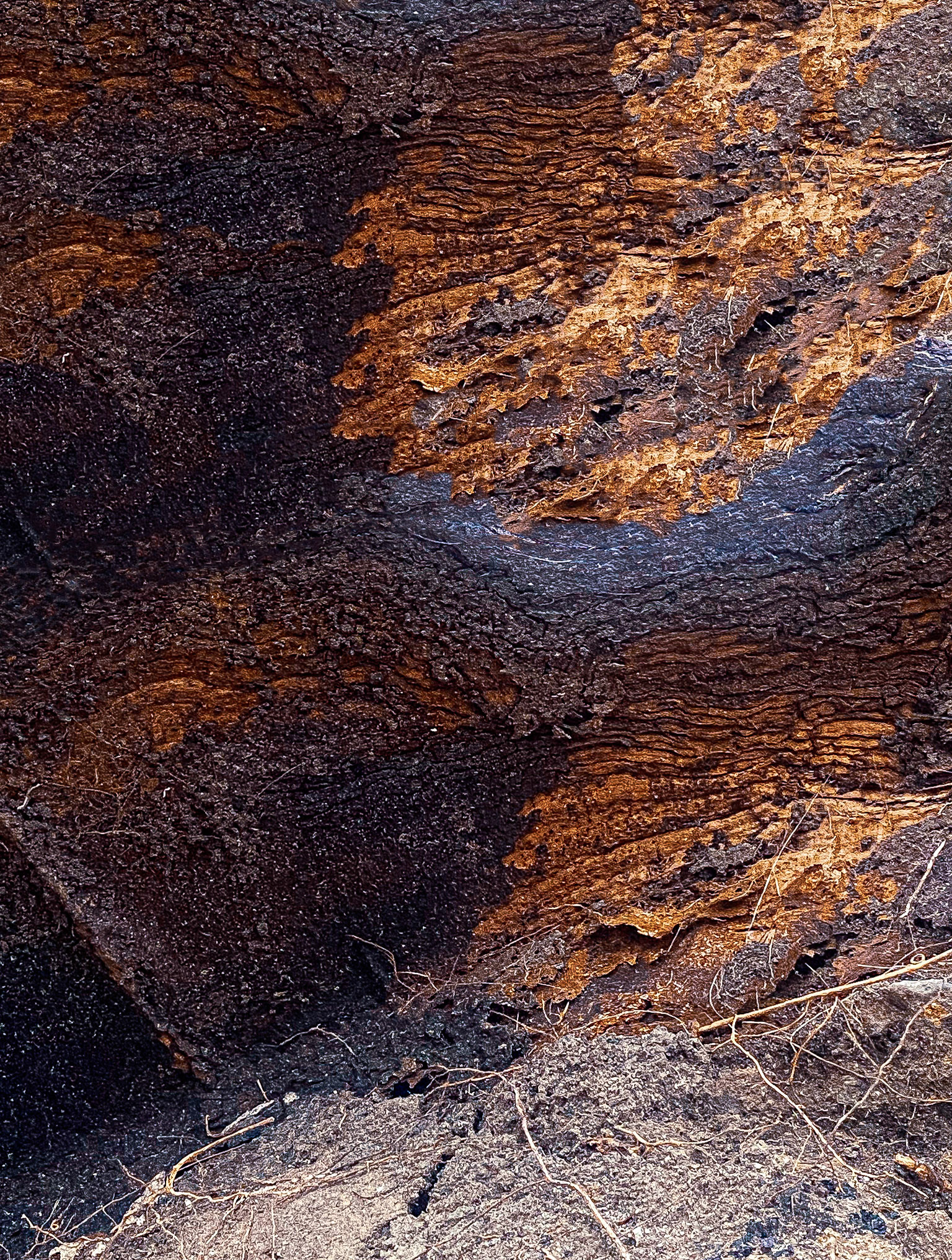 Divine Patterns II | Layers | Nature's Code