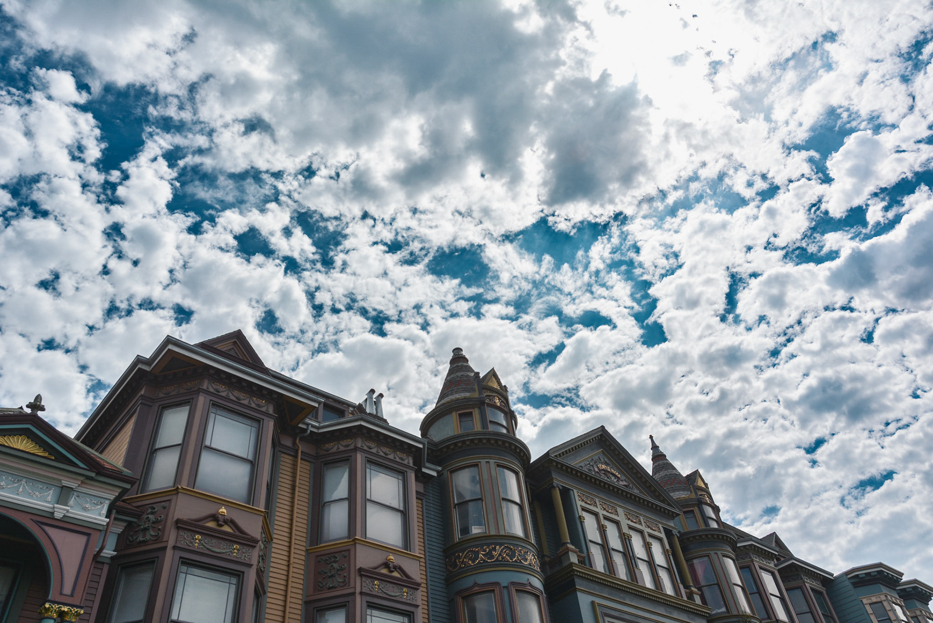 Cotton Ladies | Universe Fibers