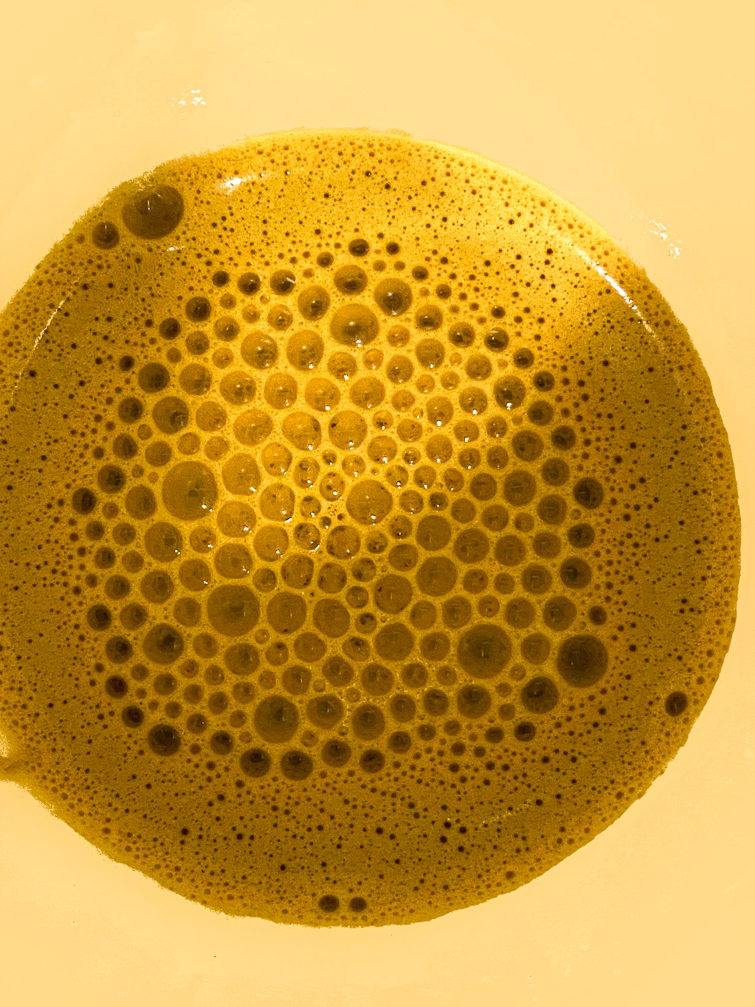 Bubble Pads 21