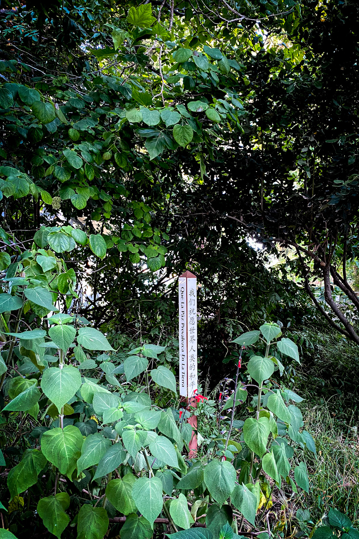 PAX Spiral | Peace on Earth