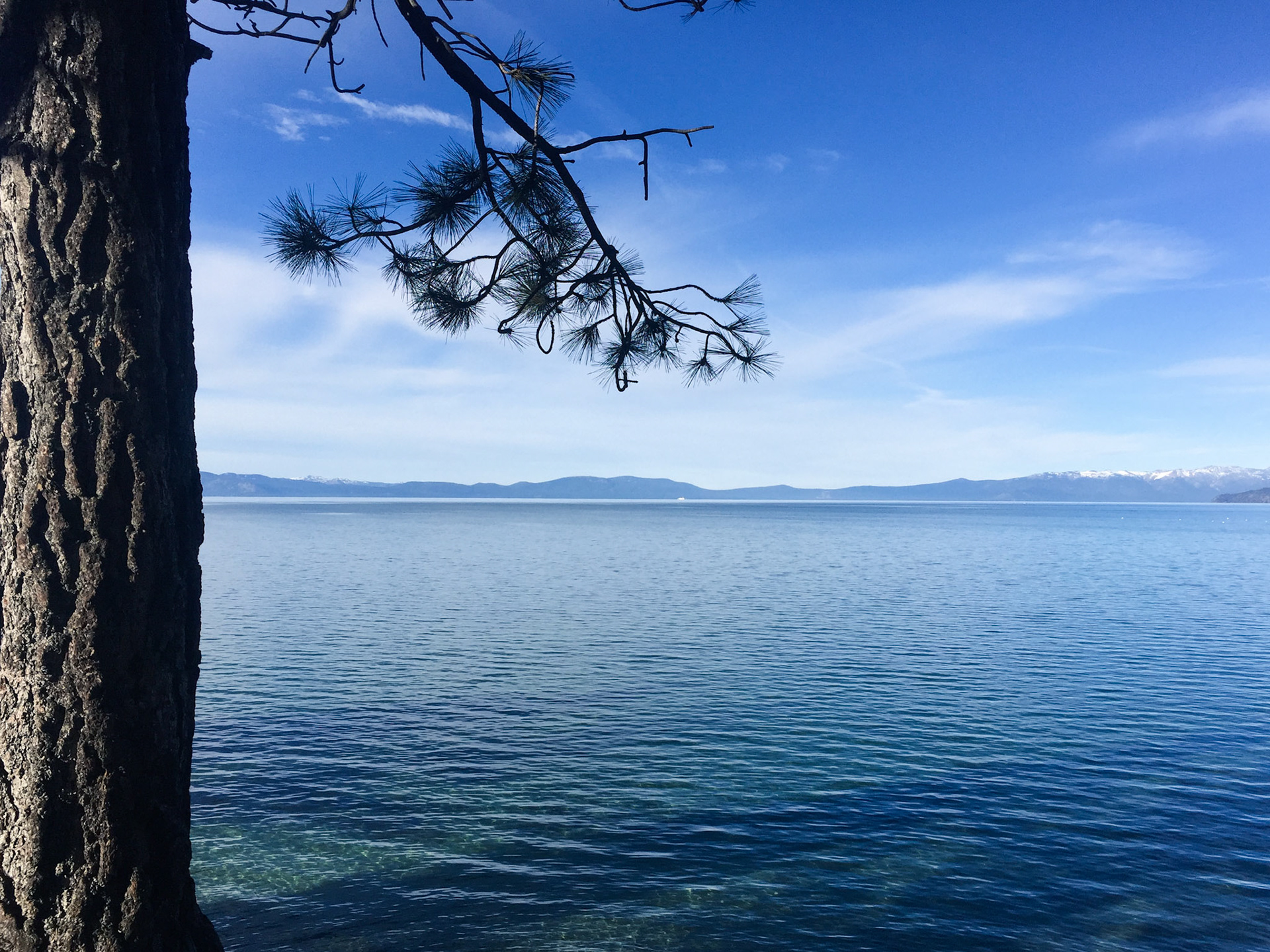 Blue Serenity | Universe Fibers