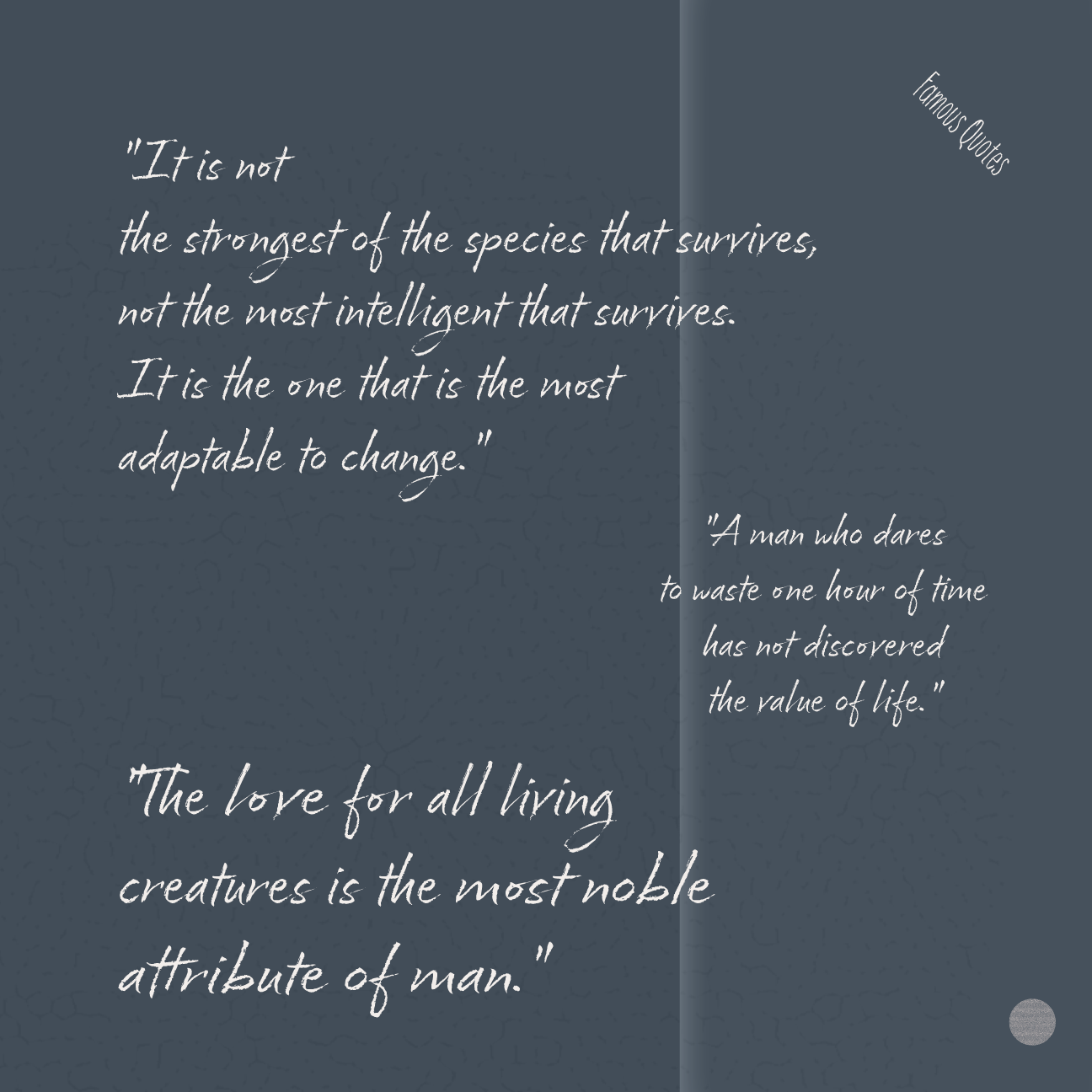 Dudsies | Charles Darwin | Quotes