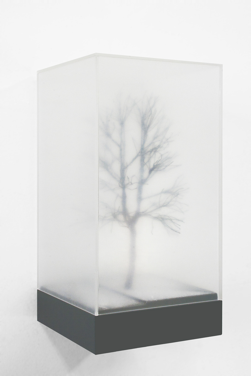 Winterboom, 2019. mdf, alkydverf, decoratiemateriaal, perspex kap. b. 15 – h. 30 – d. 15 cm.