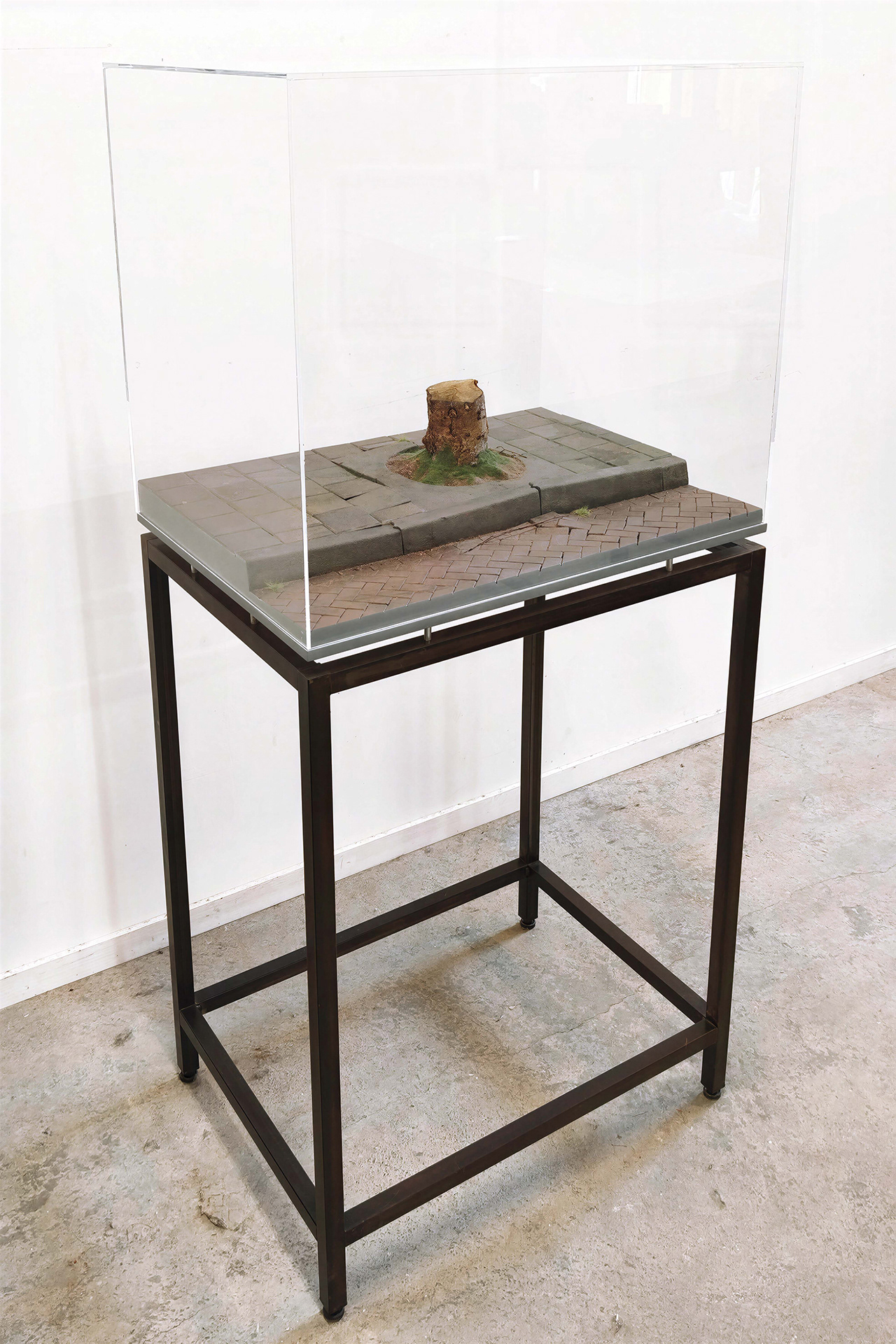 Boomkrans, 2026, MDF, Verf, Decoratiemateriaal, Hout, Perspex kap, B. 65 - H. 55 - D. 47 cm.