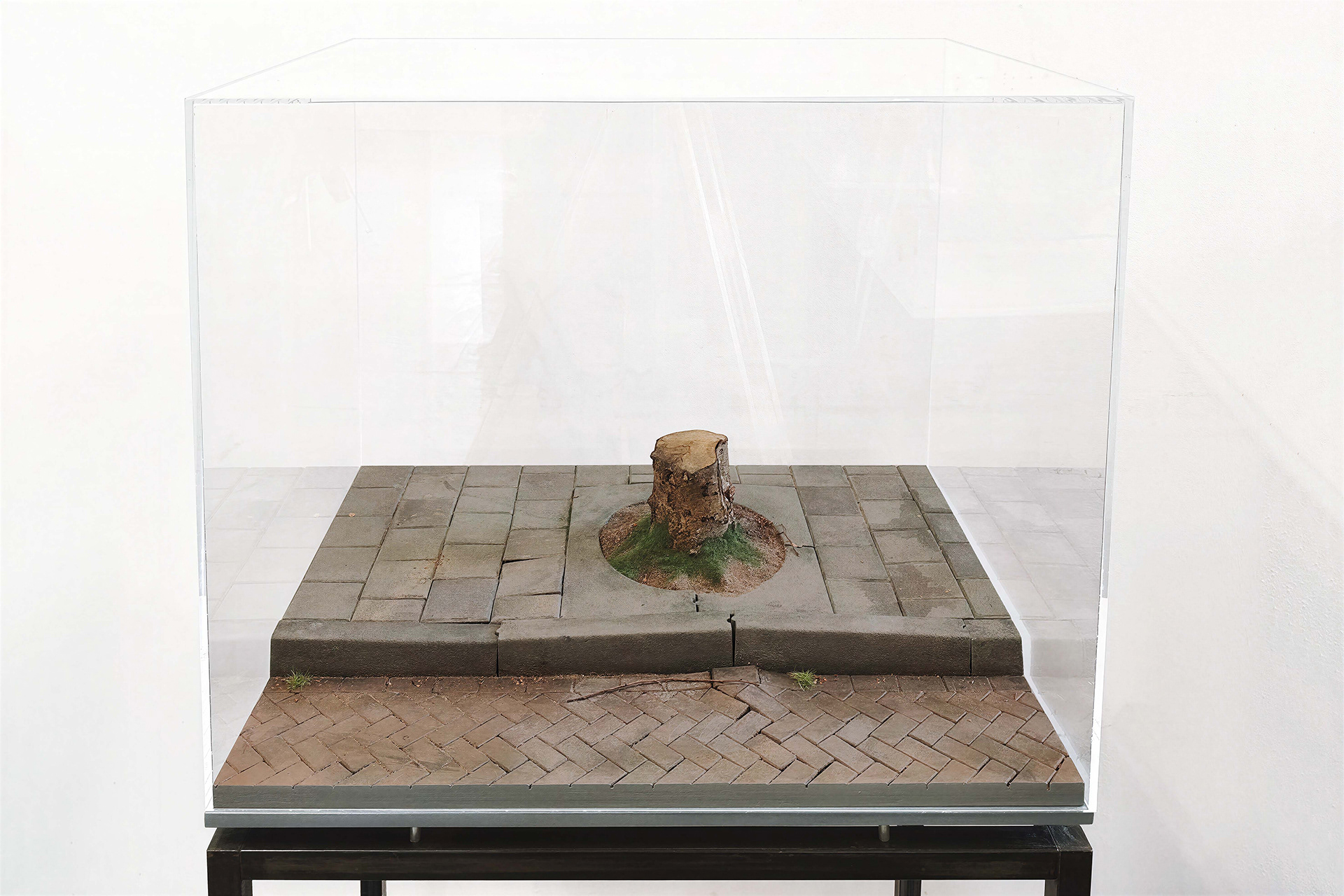 Boomkrans, 2026, MDF, Verf, Decoratiemateriaal, Hout, Perspex kap, B. 65 - H. 55 - D. 47 cm.