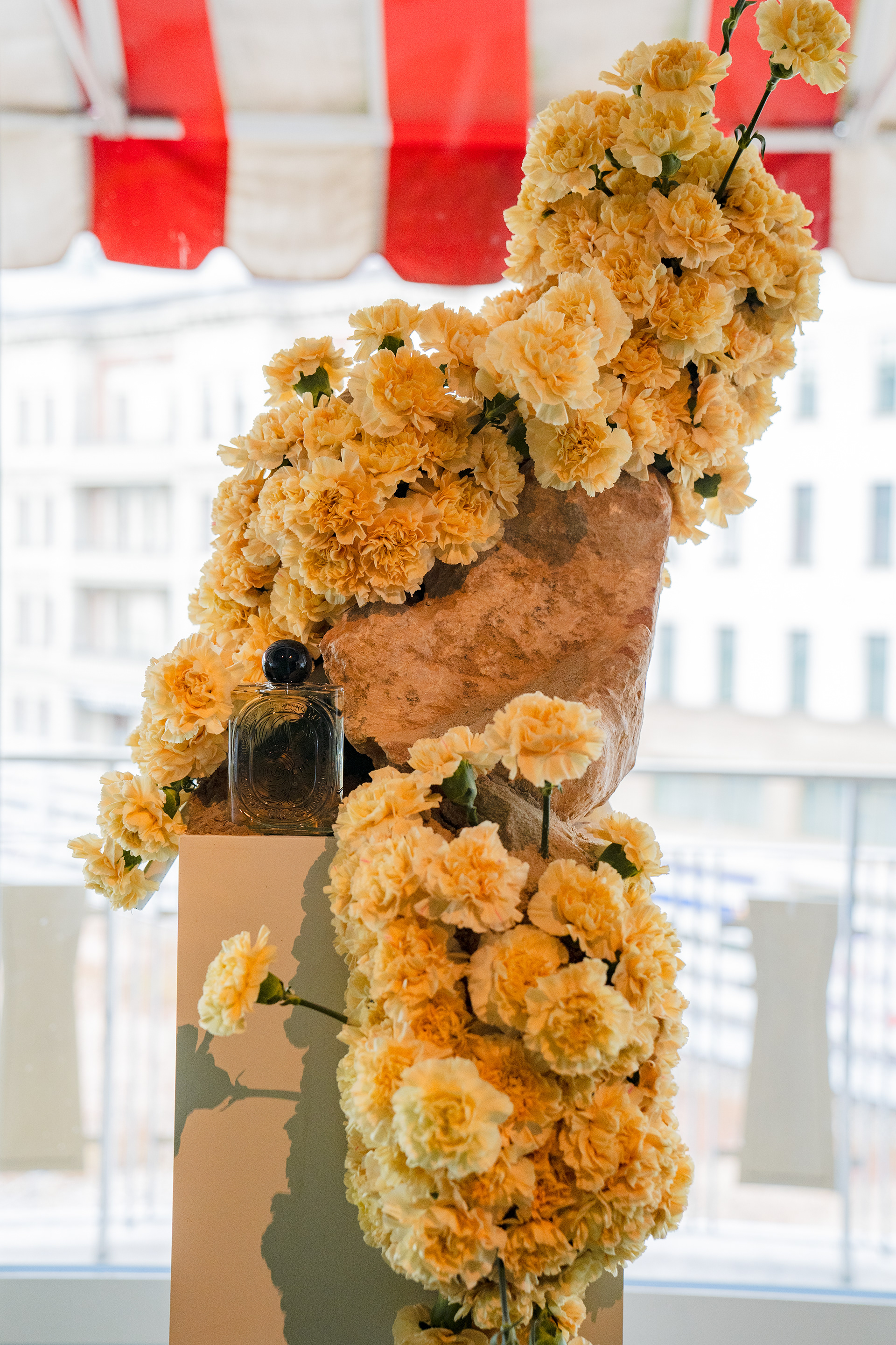 ANATOMIE FLEUR X DIPTYQUE 