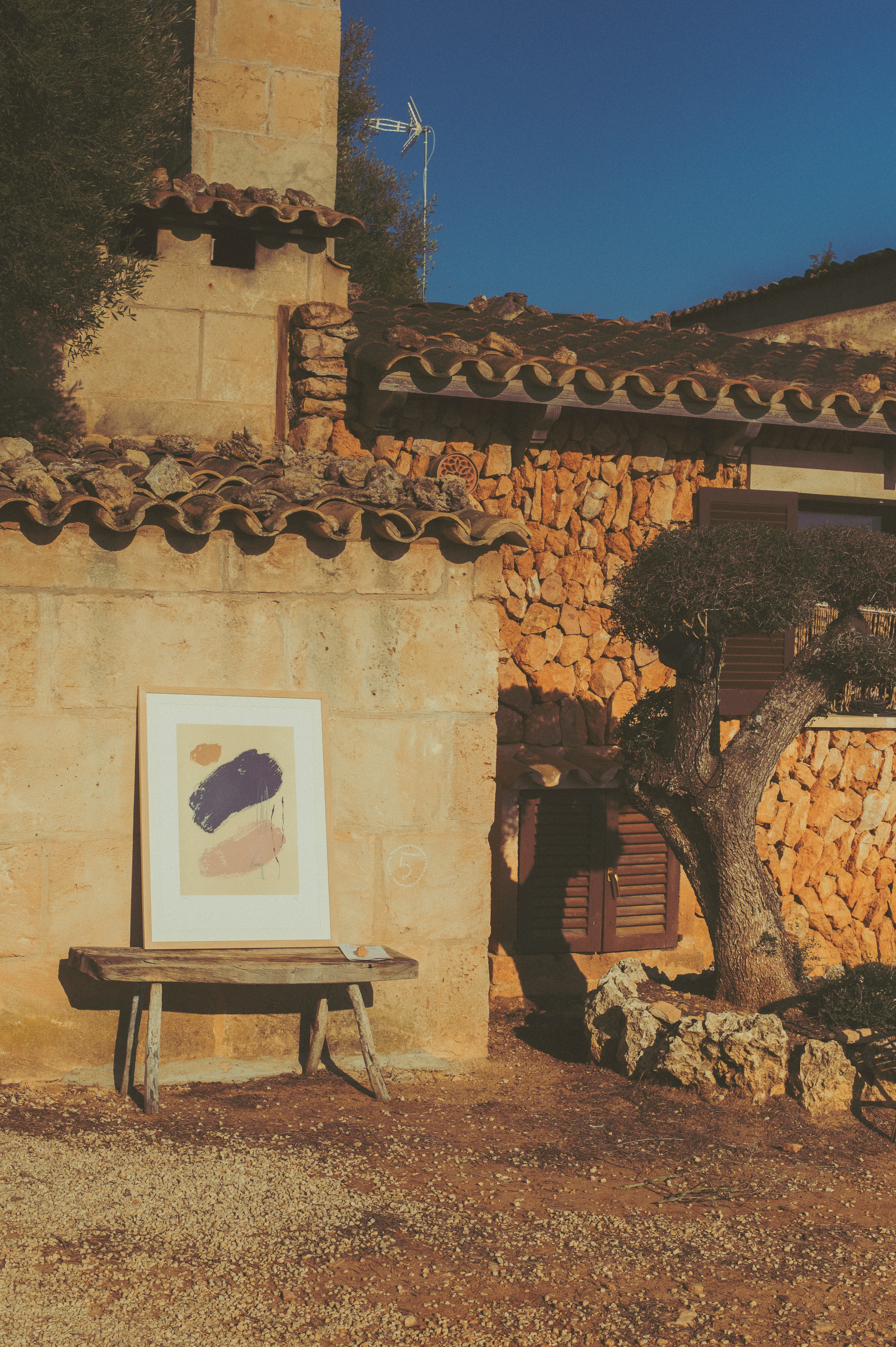 AMICS DE LA TERRA MALLORCA EXHIBITION