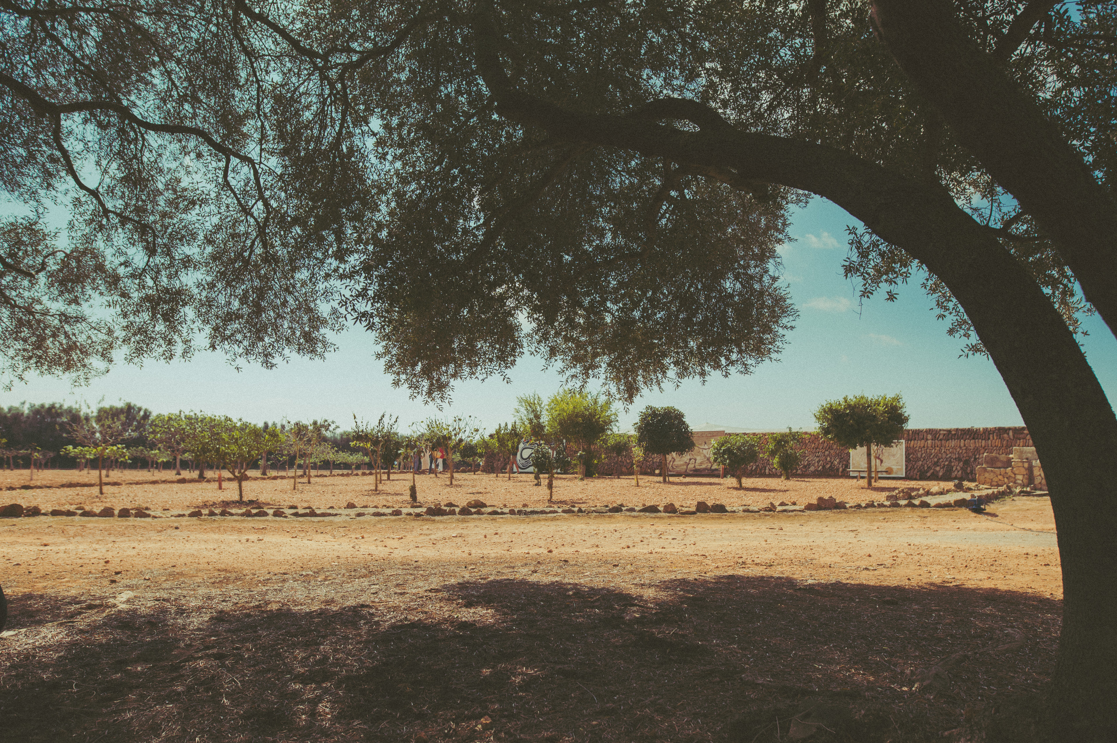 AMICS DE LA TERRA MALLORCA EXHIBITION
