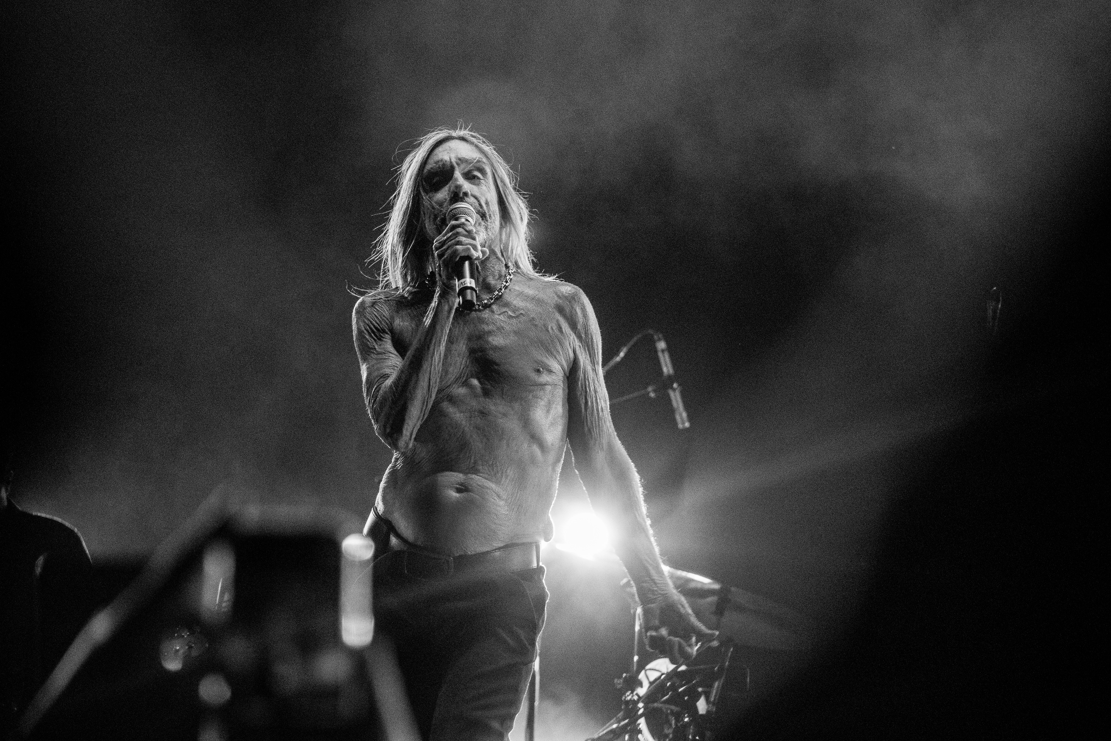Iggy Pop