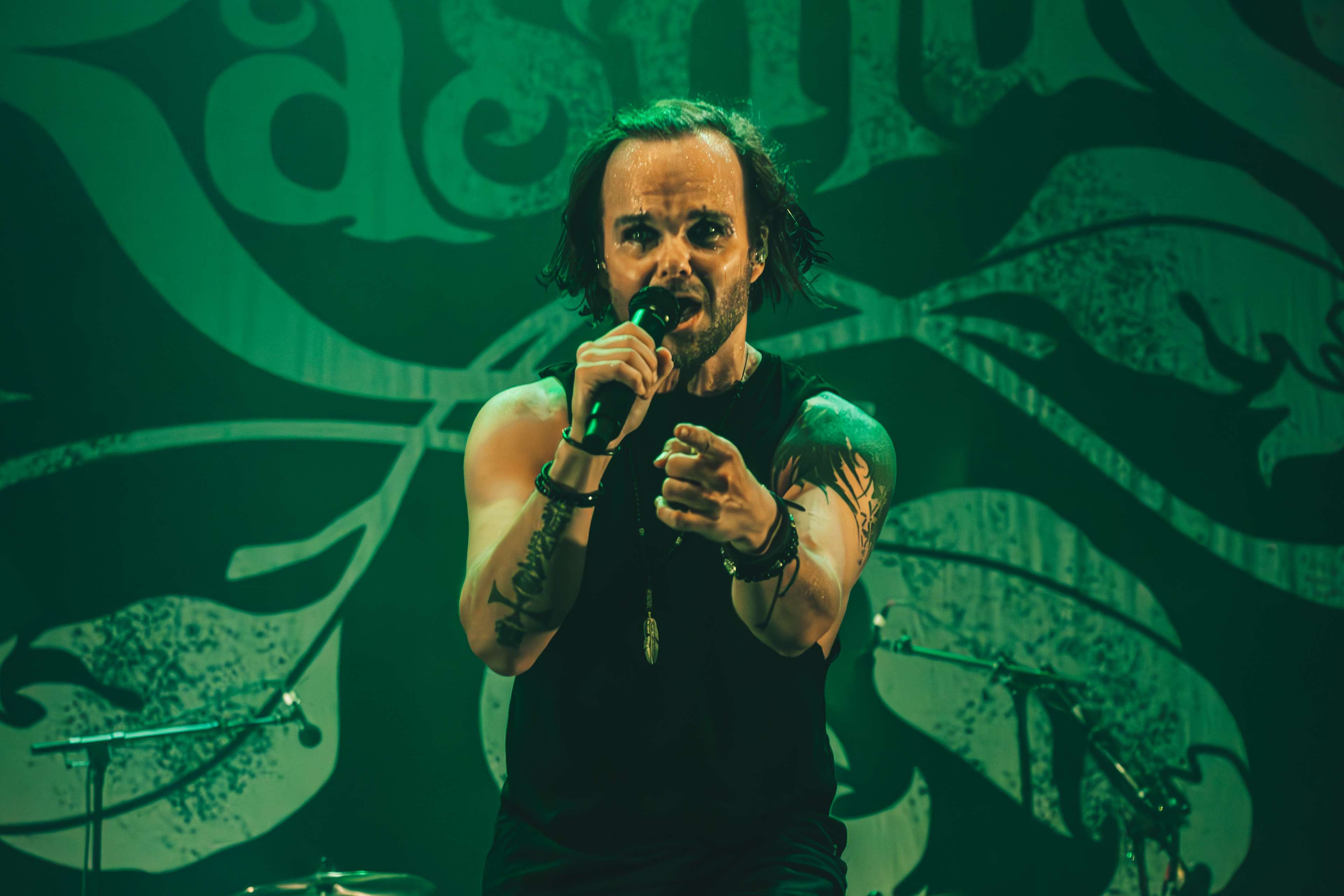 The Rasmus