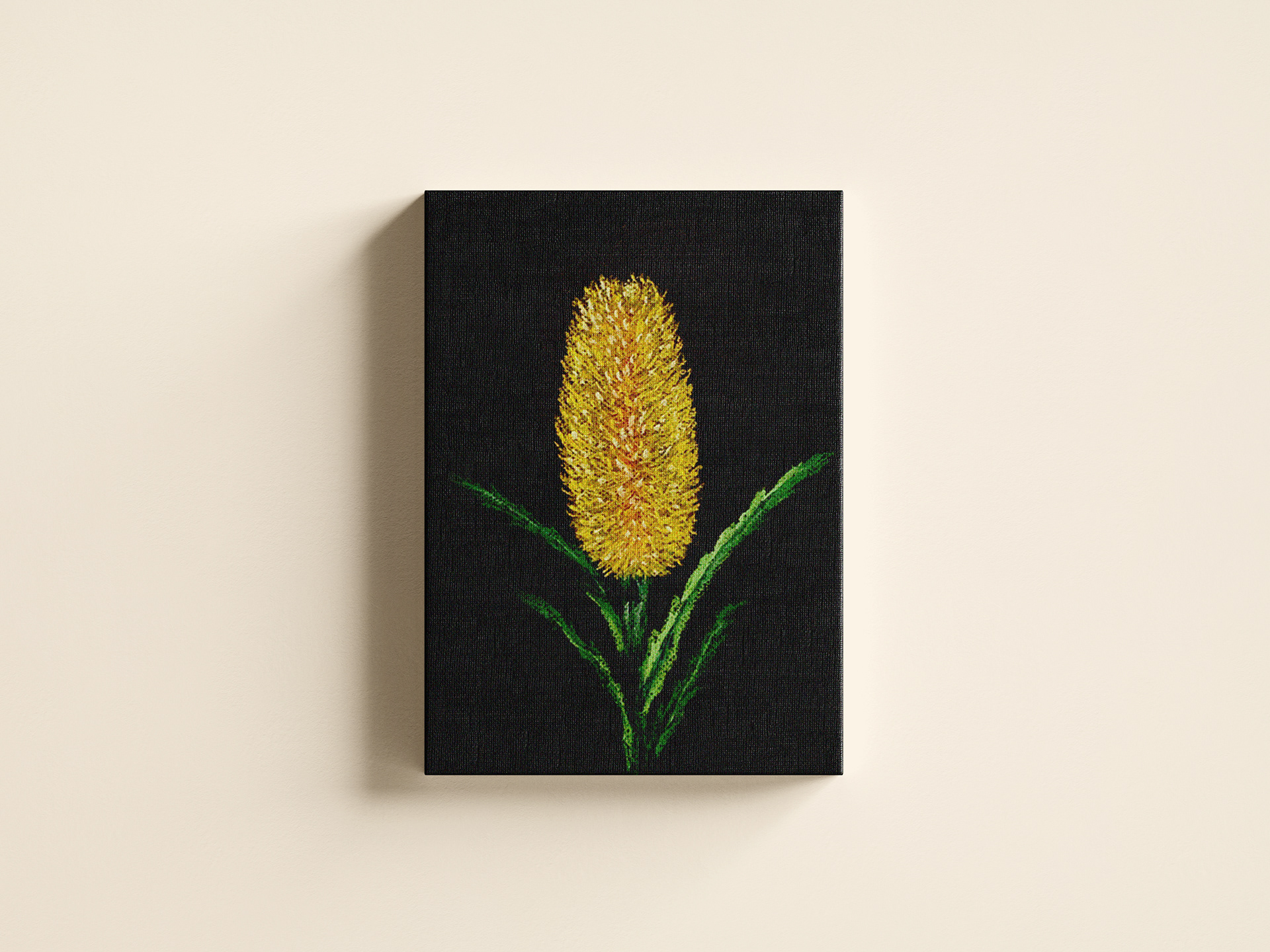 Banksia, chalk pastel 2019