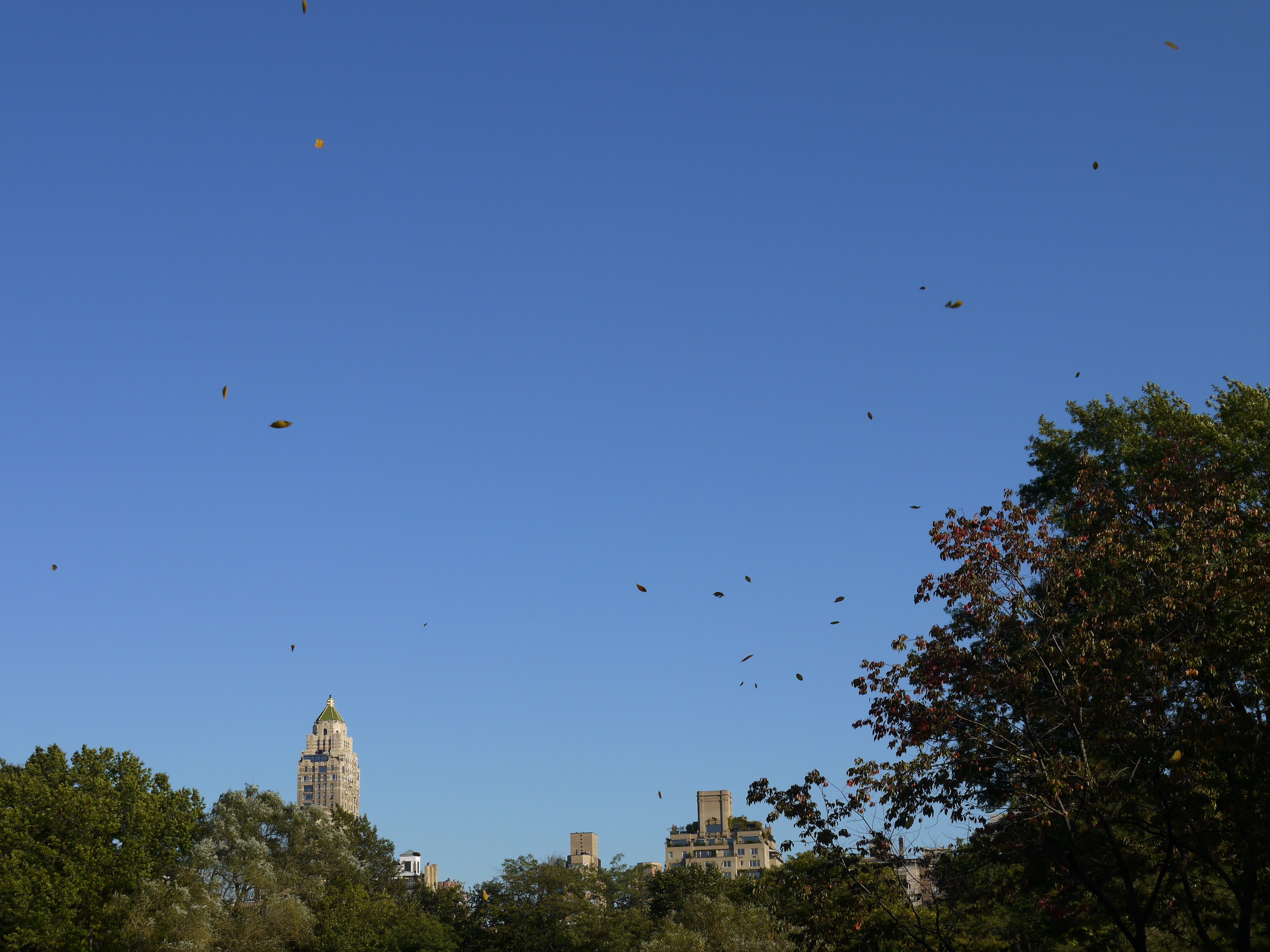 Central Park NYC