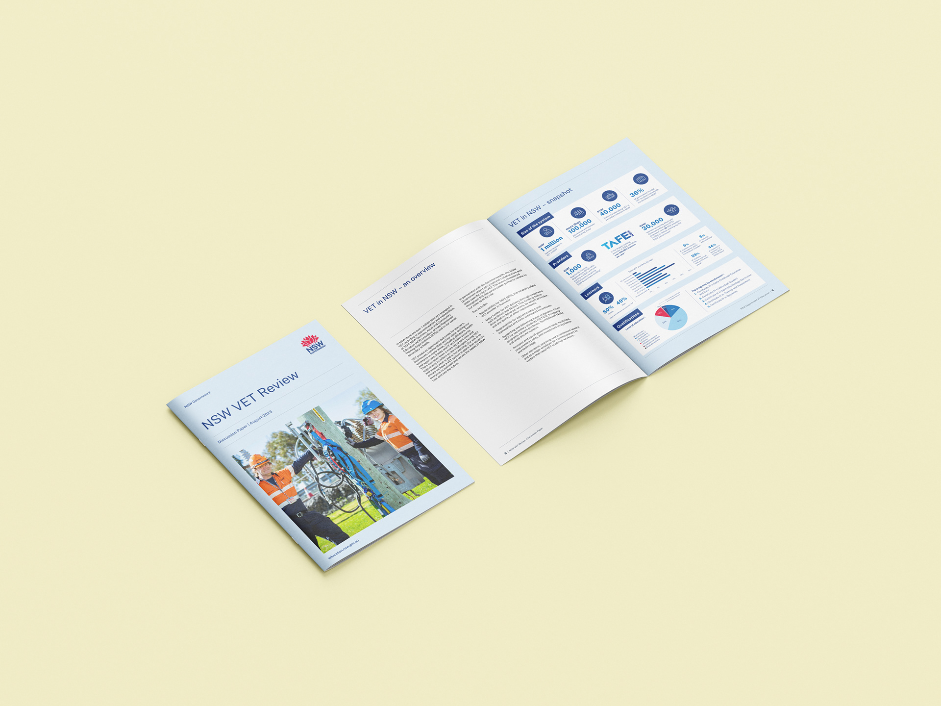 NSW Vocational Education and Training Review - Discussion Paper