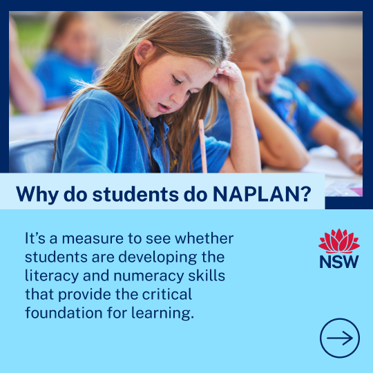 NAPLAN 2025 Campaign Social