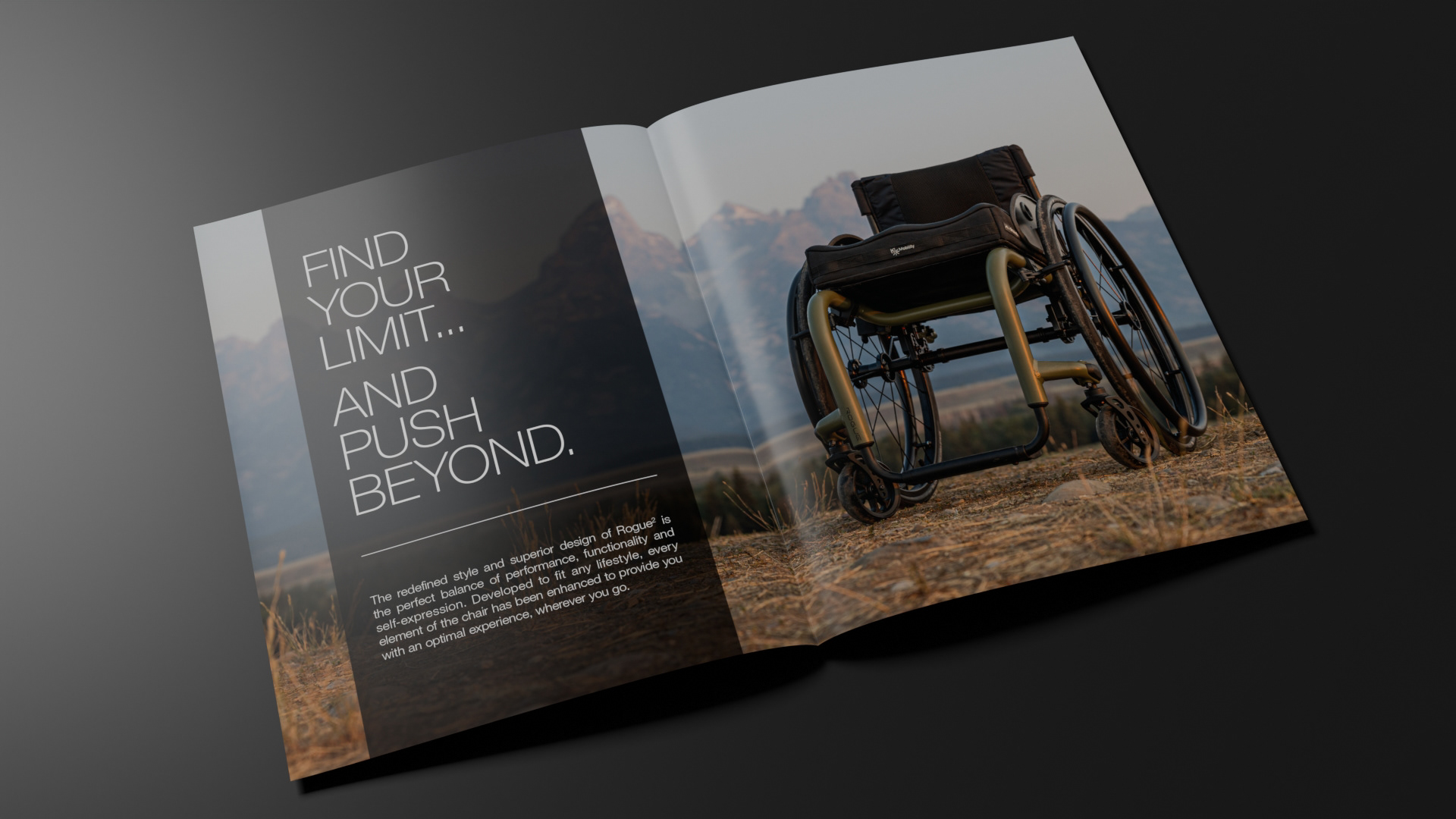 Rogue2 Brochure - Spread 1