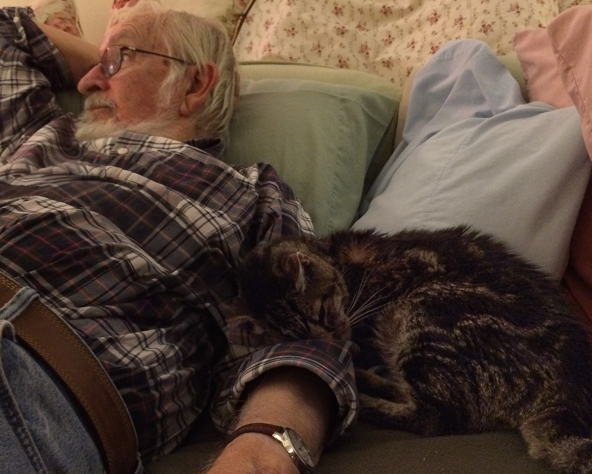 Buddy, rescued from a hoarder, with my dad
