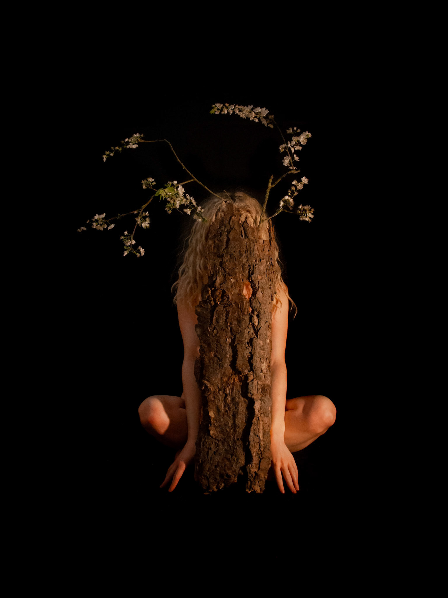 Becoming The Bonsai. 2022