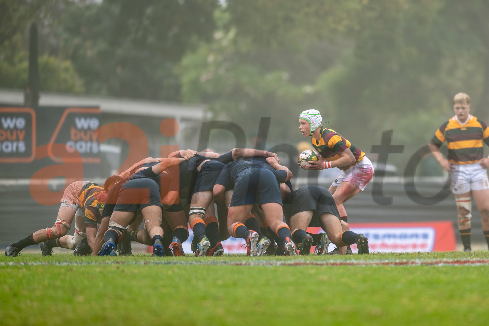 20240420_Gim_vs_Grey_096