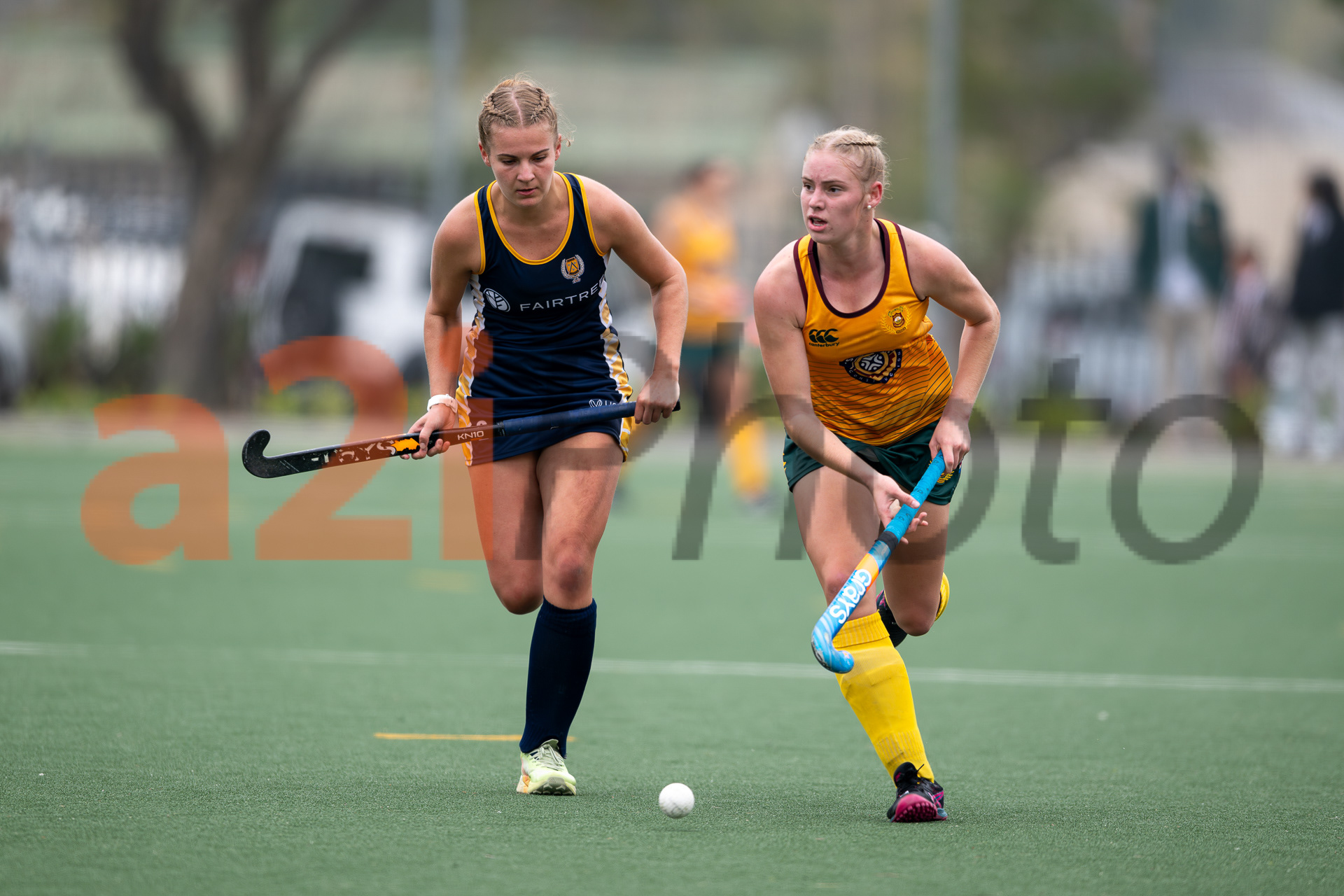 20240420_Gim_vs_Grey_315