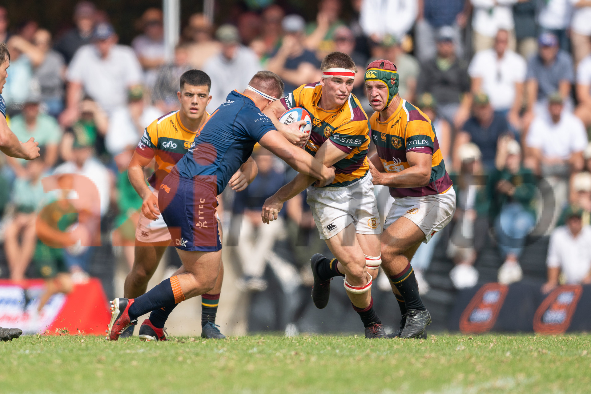 20240420_Gim_vs_Grey_546