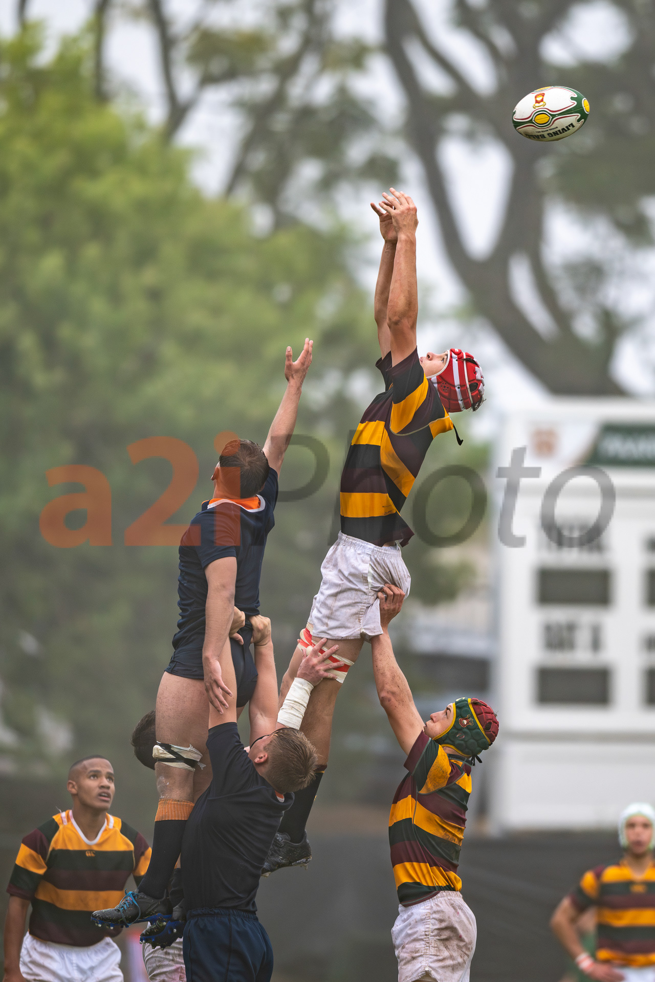 20240420_Gim_vs_Grey_096