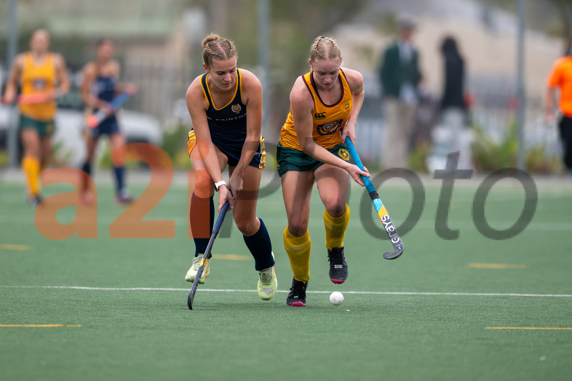 20240420_Gim_vs_Grey_300