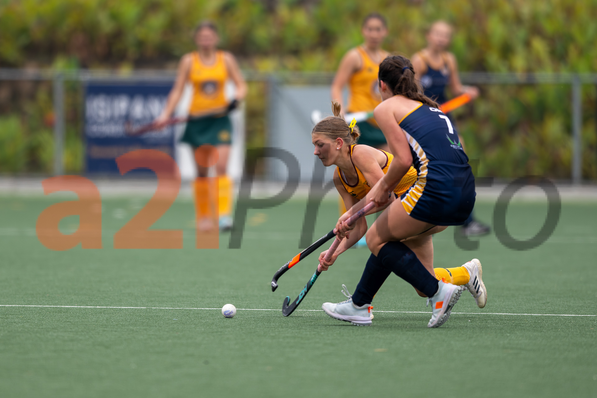 20240420_Gim_vs_Grey_315