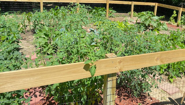 One of my Favorite Places- My Garden!