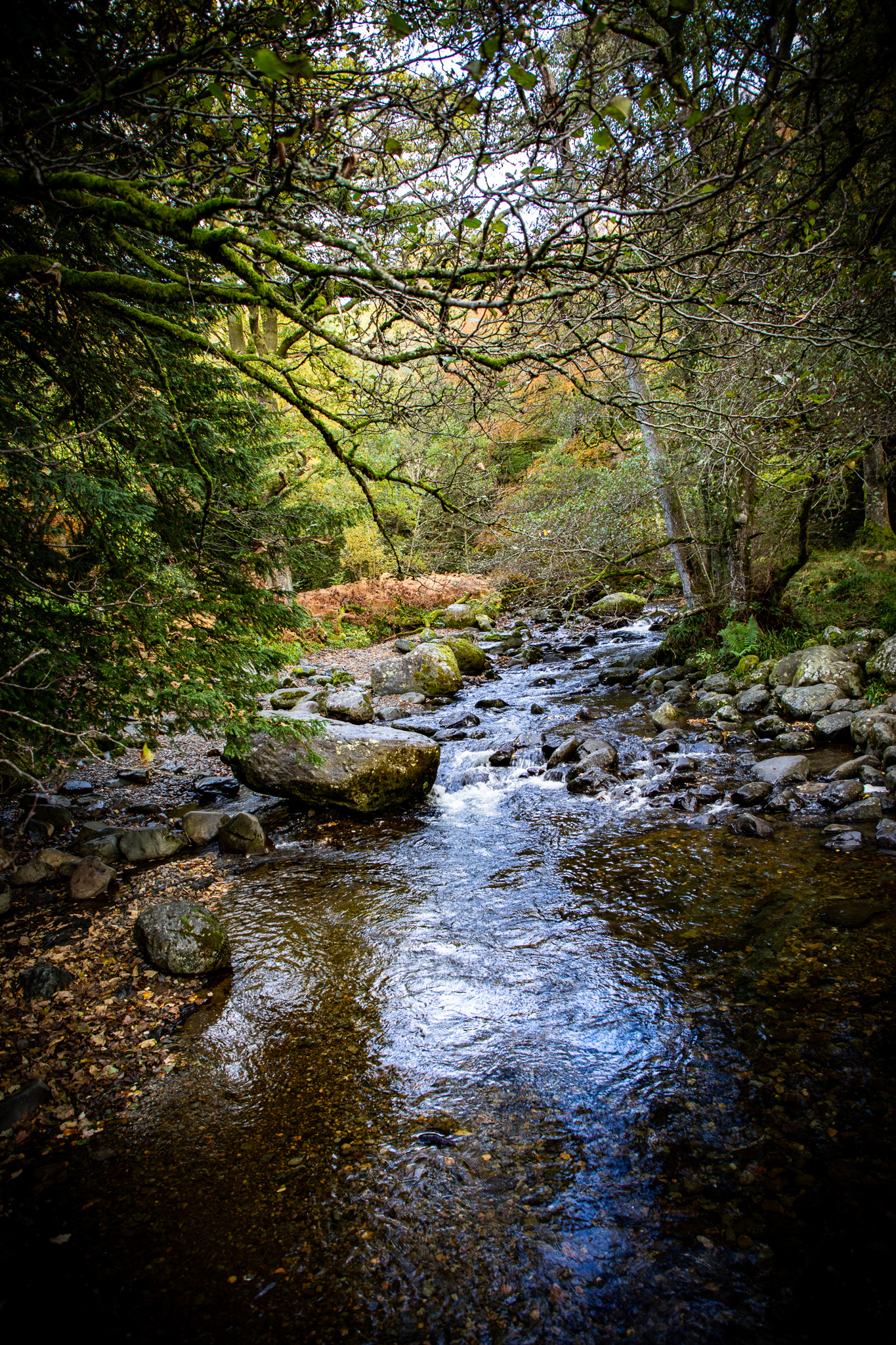 Leon Britton Photography