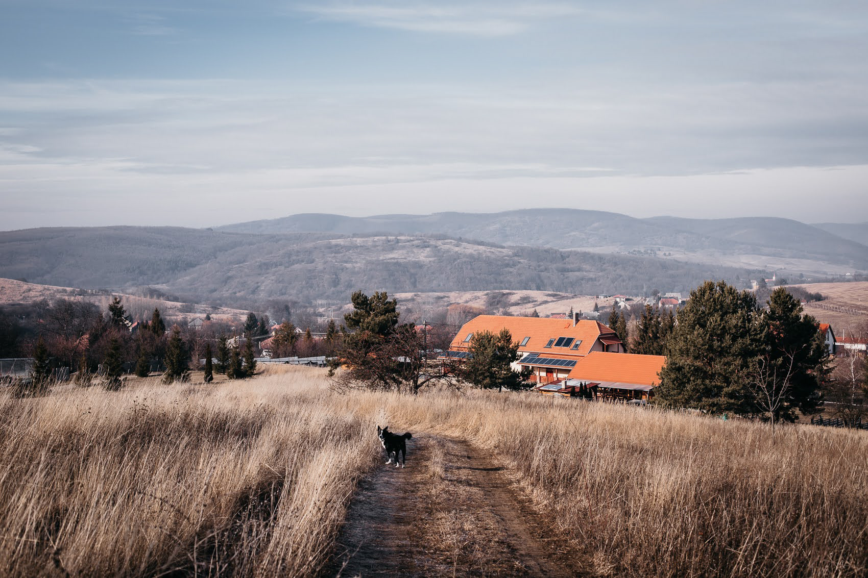 Borókásvölgy vendégház - 2021